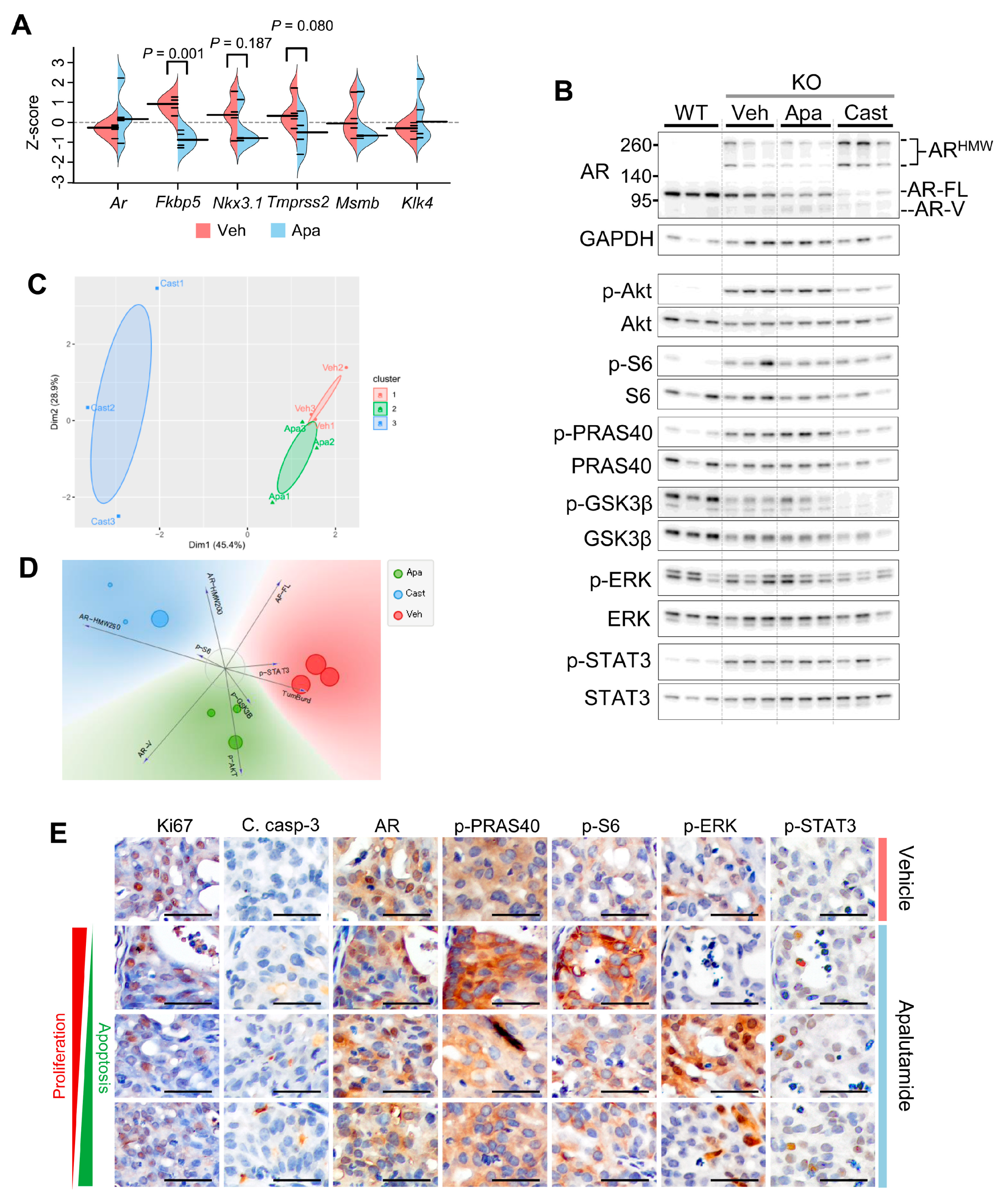 Cancers 13 03975 g002 Cancers 13 03975 g002