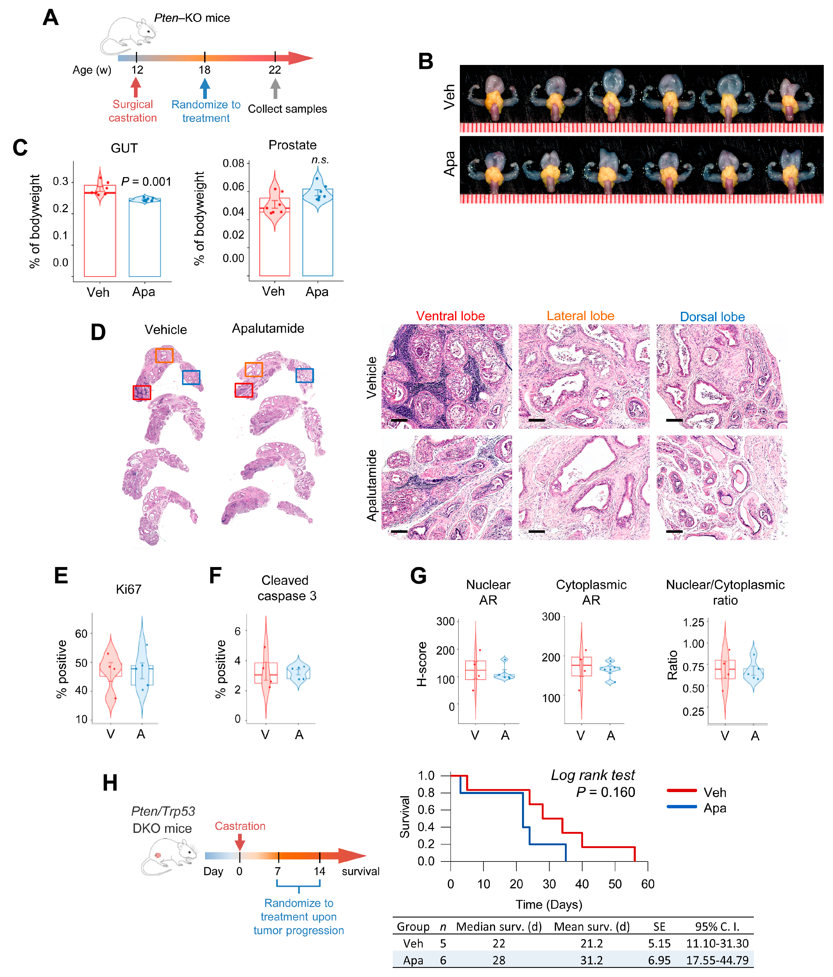 Cancers 13 03975 g003 Cancers 13 03975 g003