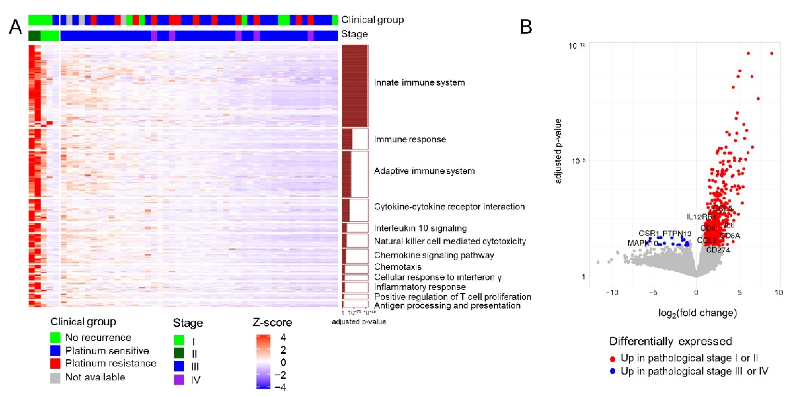 Cancers 13 03976 g001