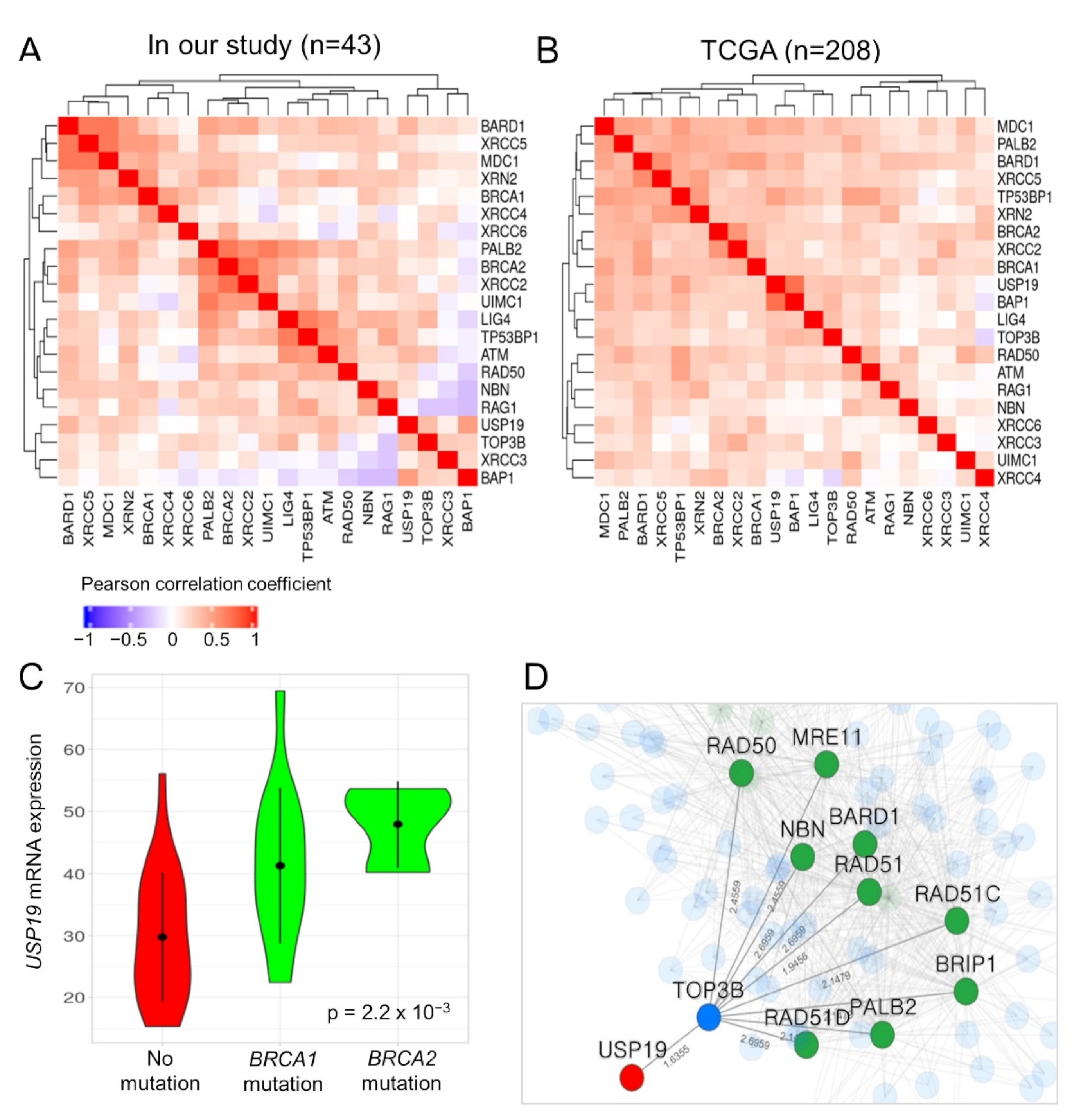 Cancers 13 03976 g003