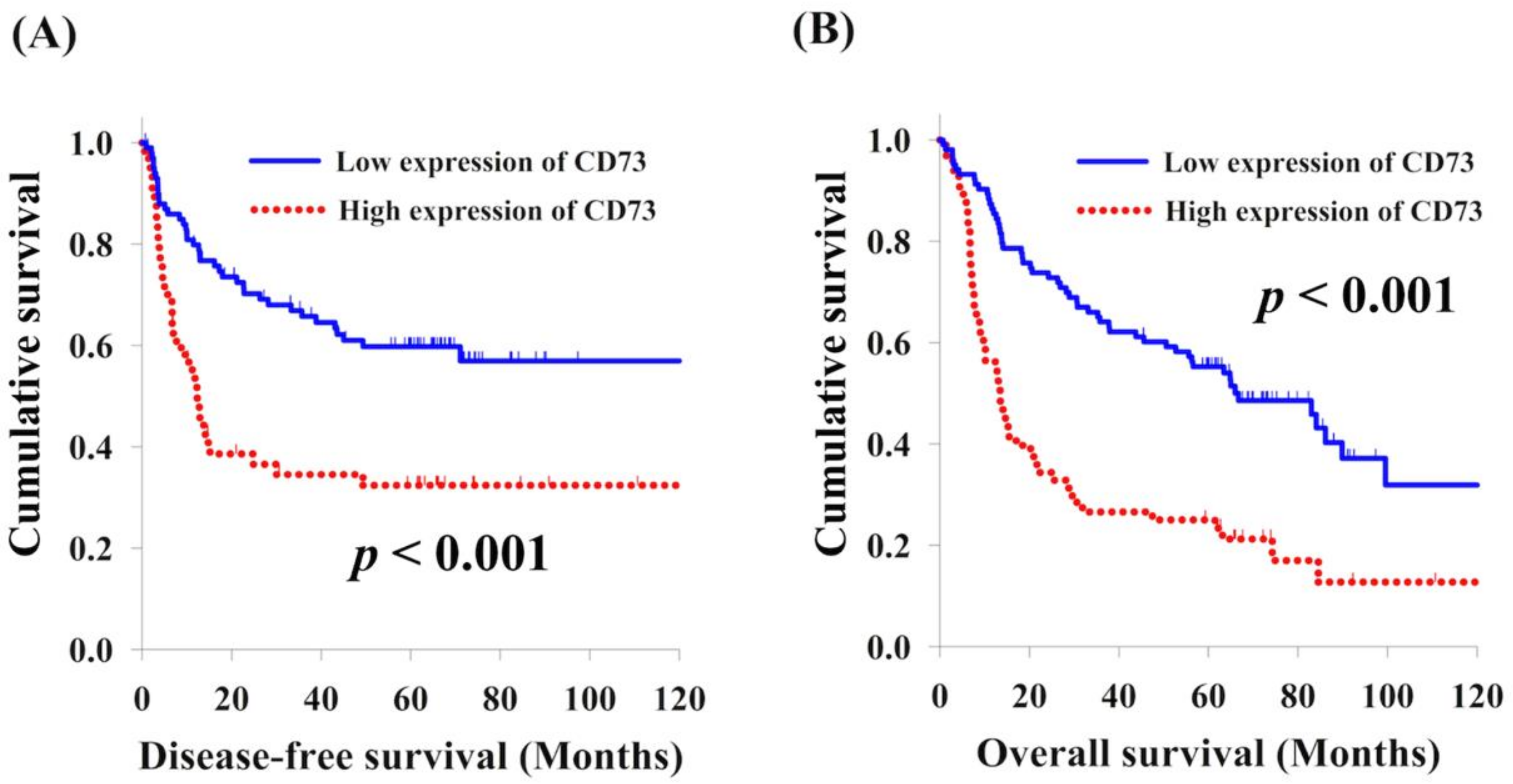 Cancers 13 03982 g002