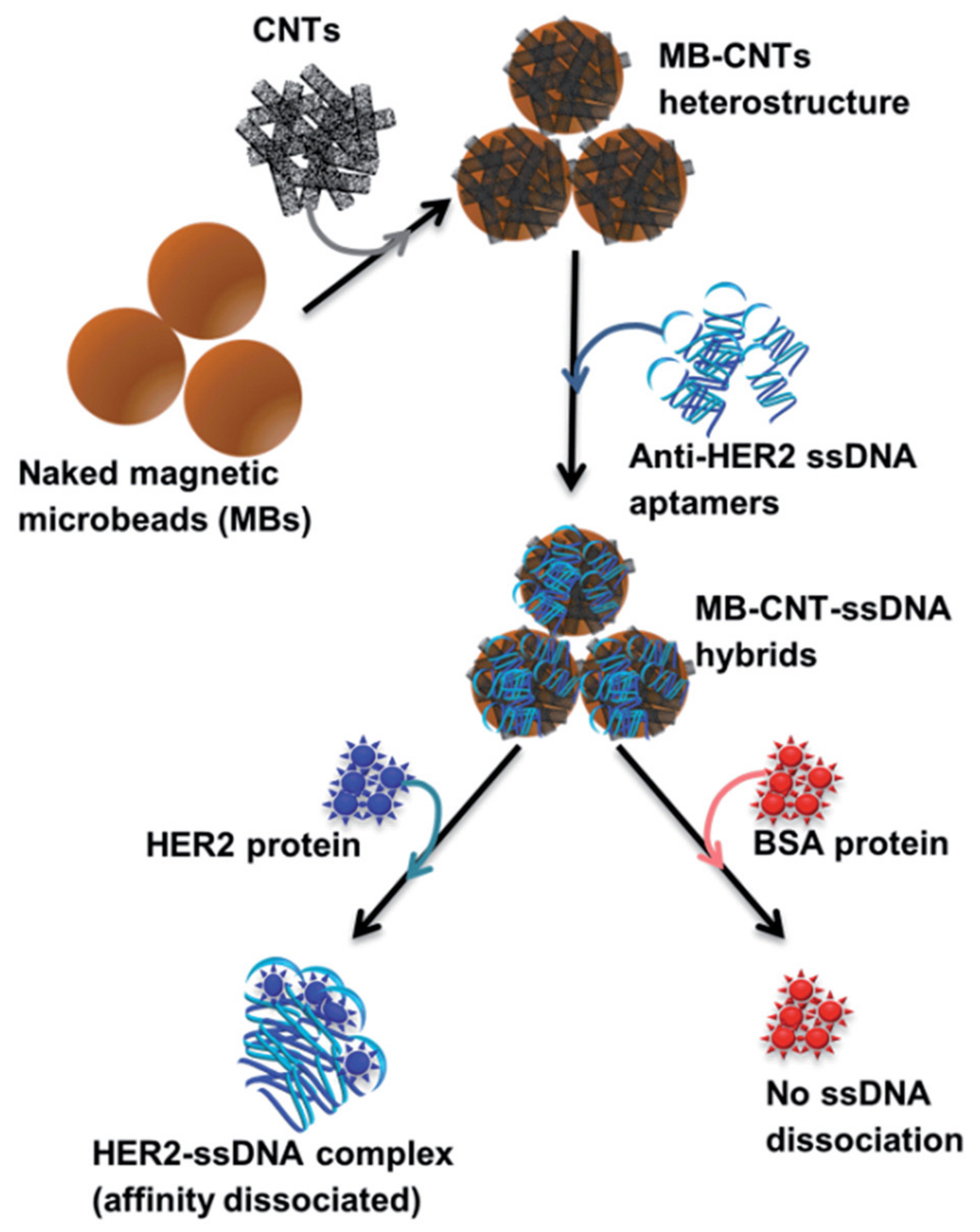 Cancers 13 03984 g002