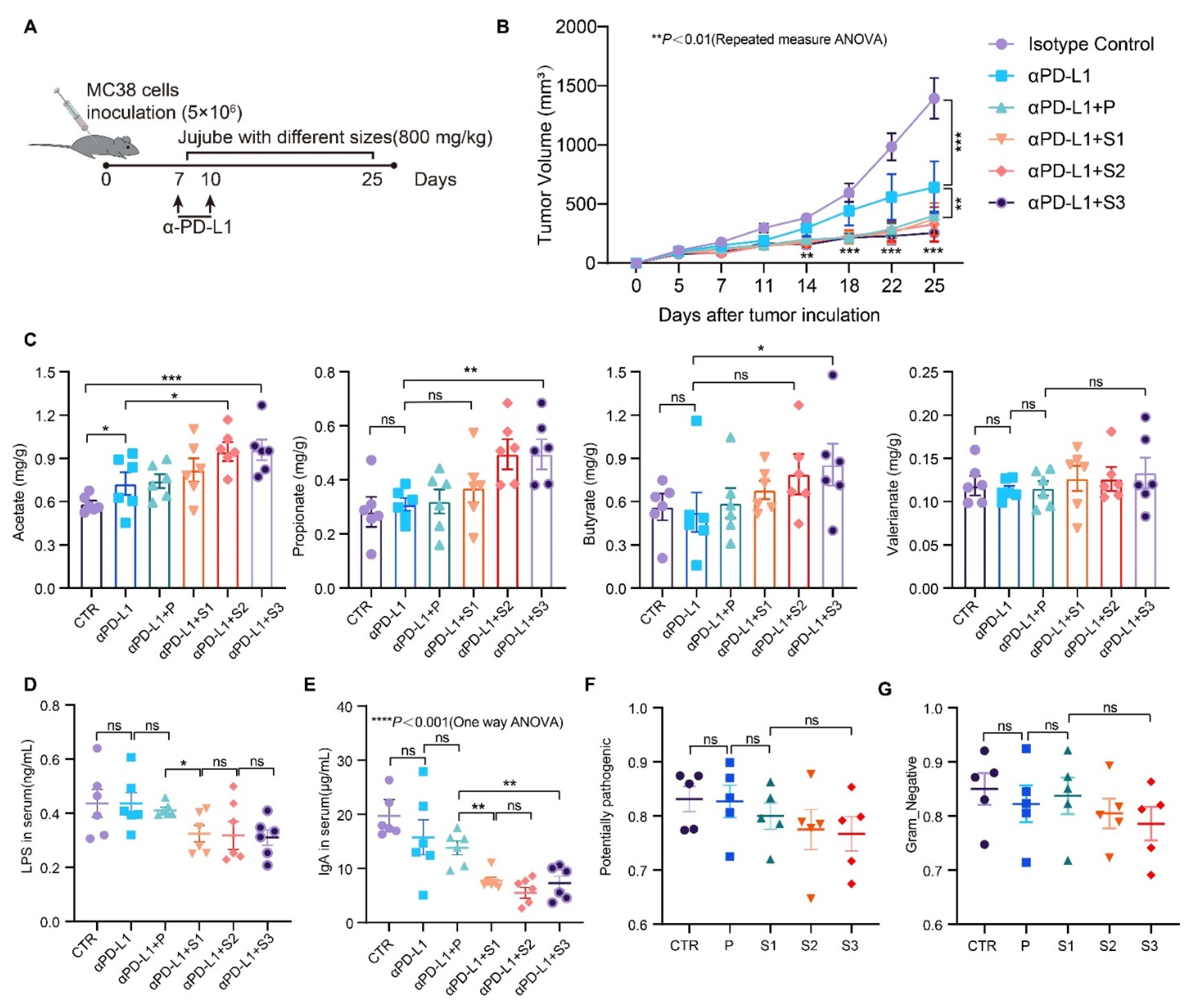 Cancers 13 03987 g005
