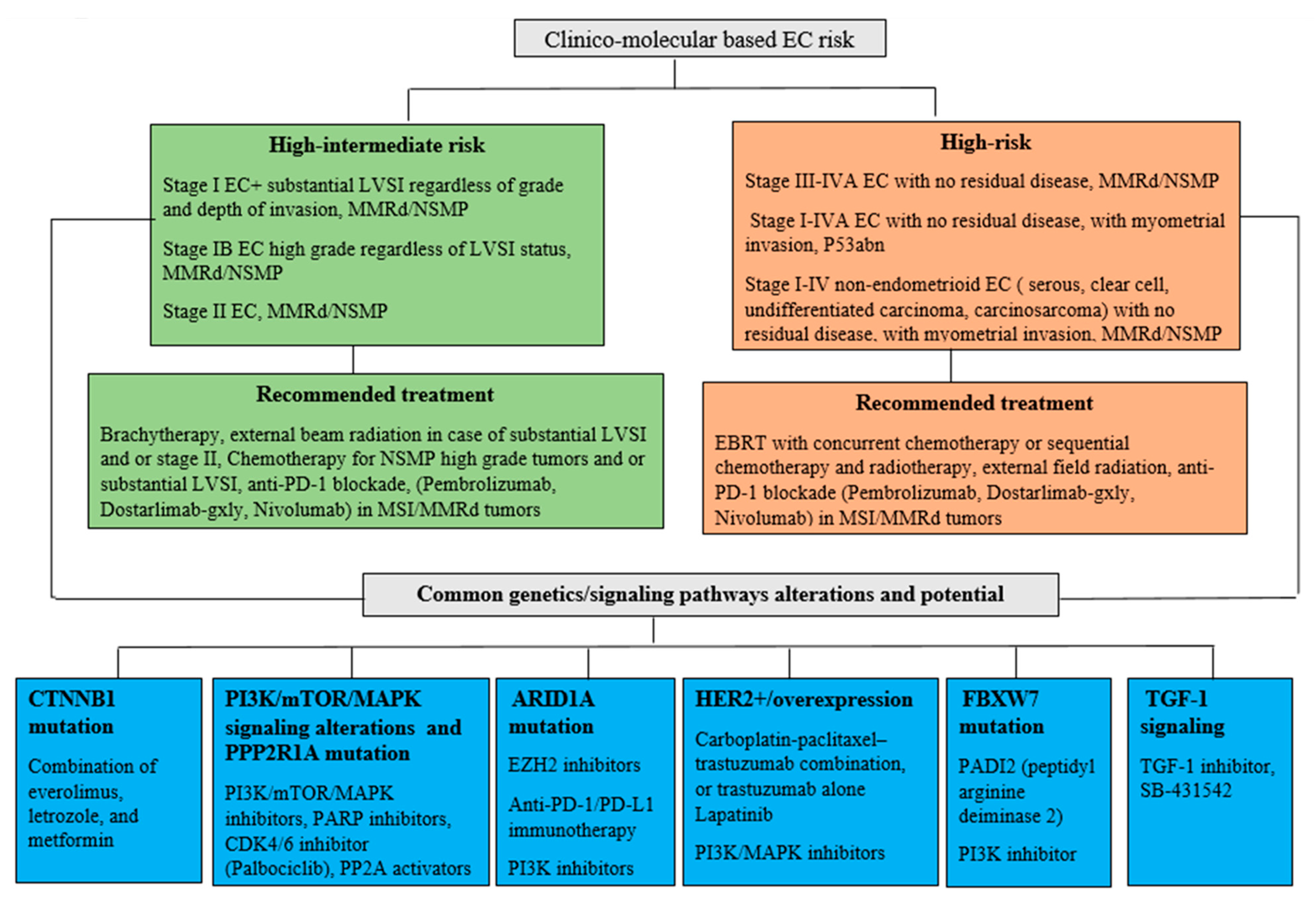 Cancers 13 03988 g001
