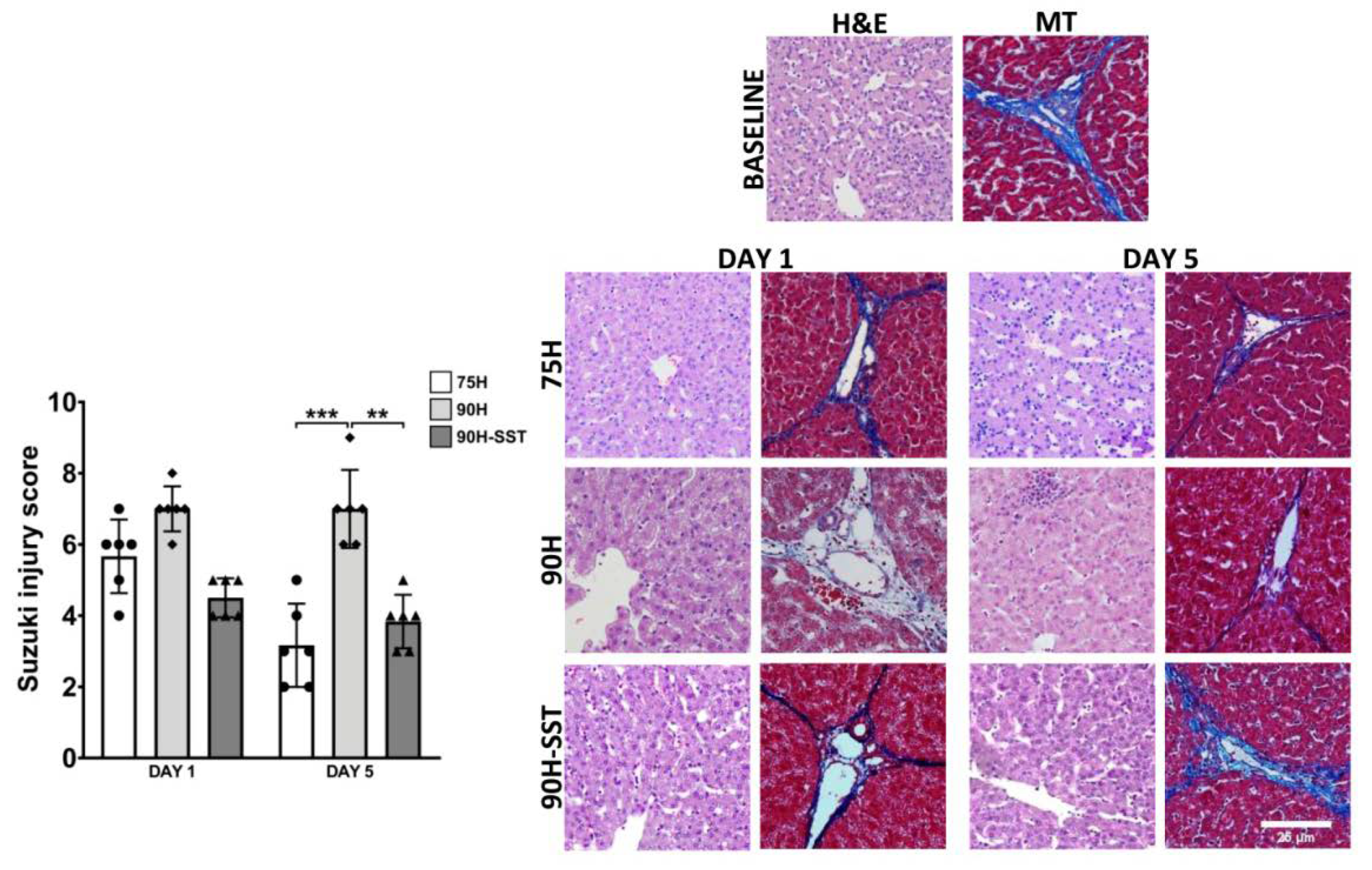 Cancers 13 03989 g002