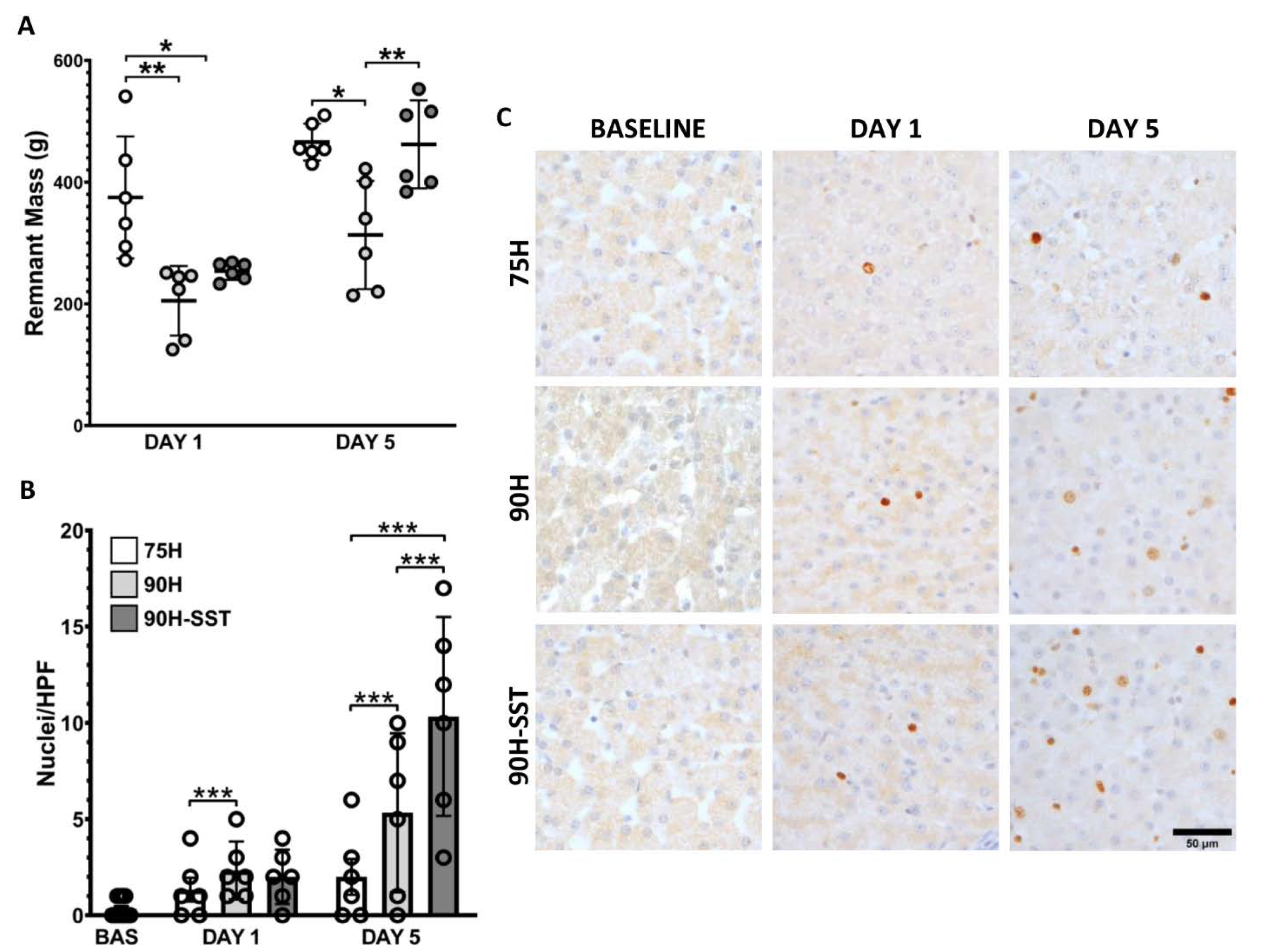 Cancers 13 03989 g003