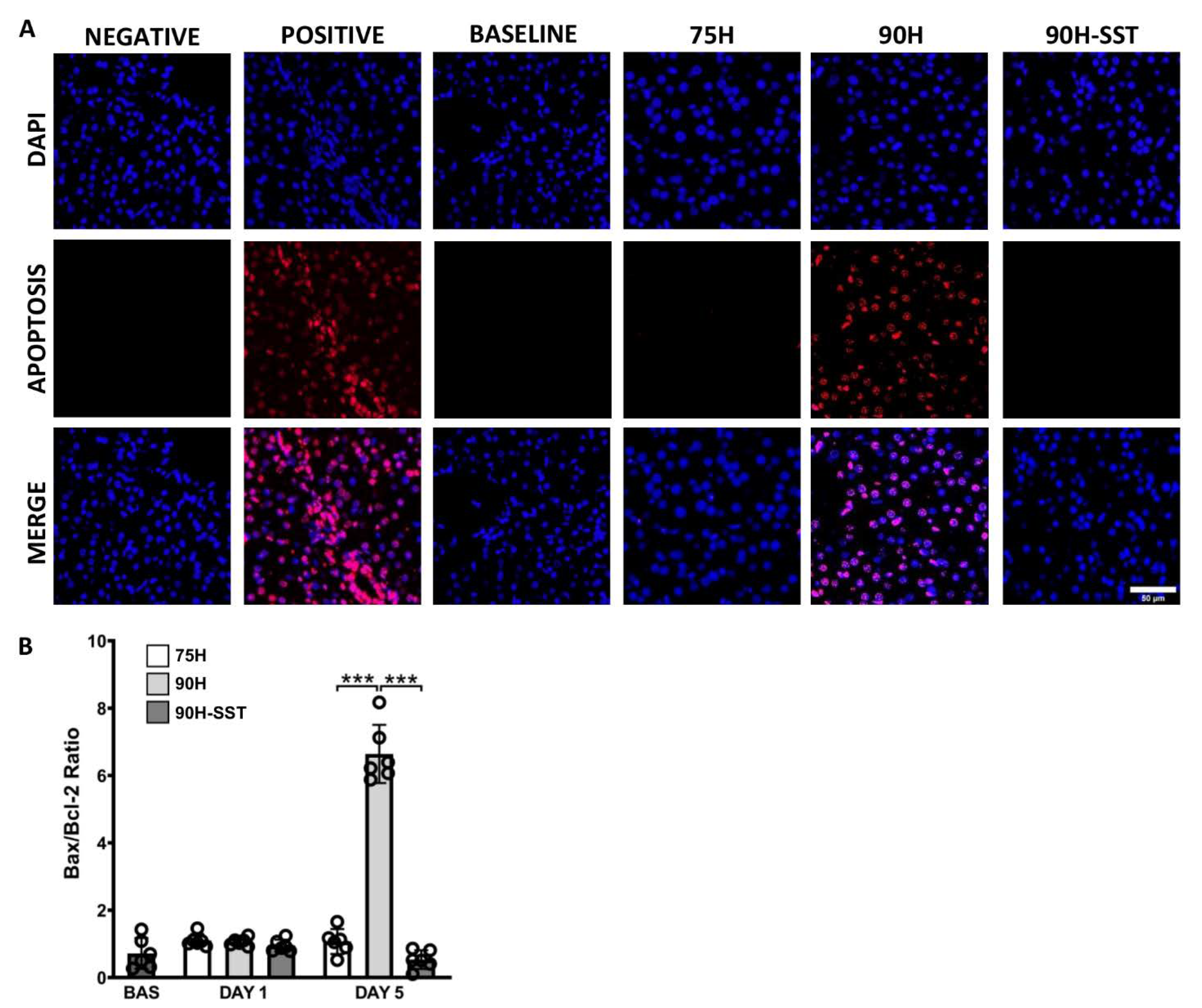 Cancers 13 03989 g004