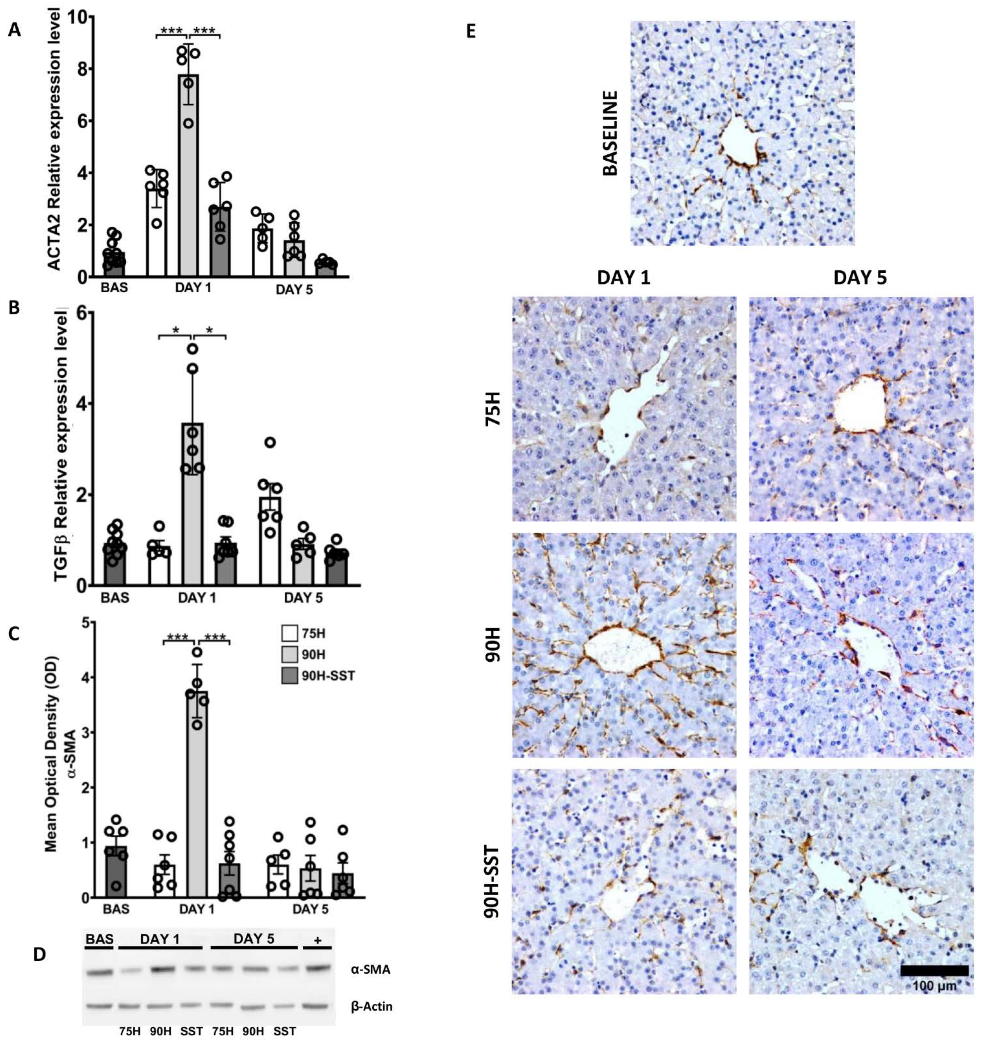 Cancers 13 03989 g005