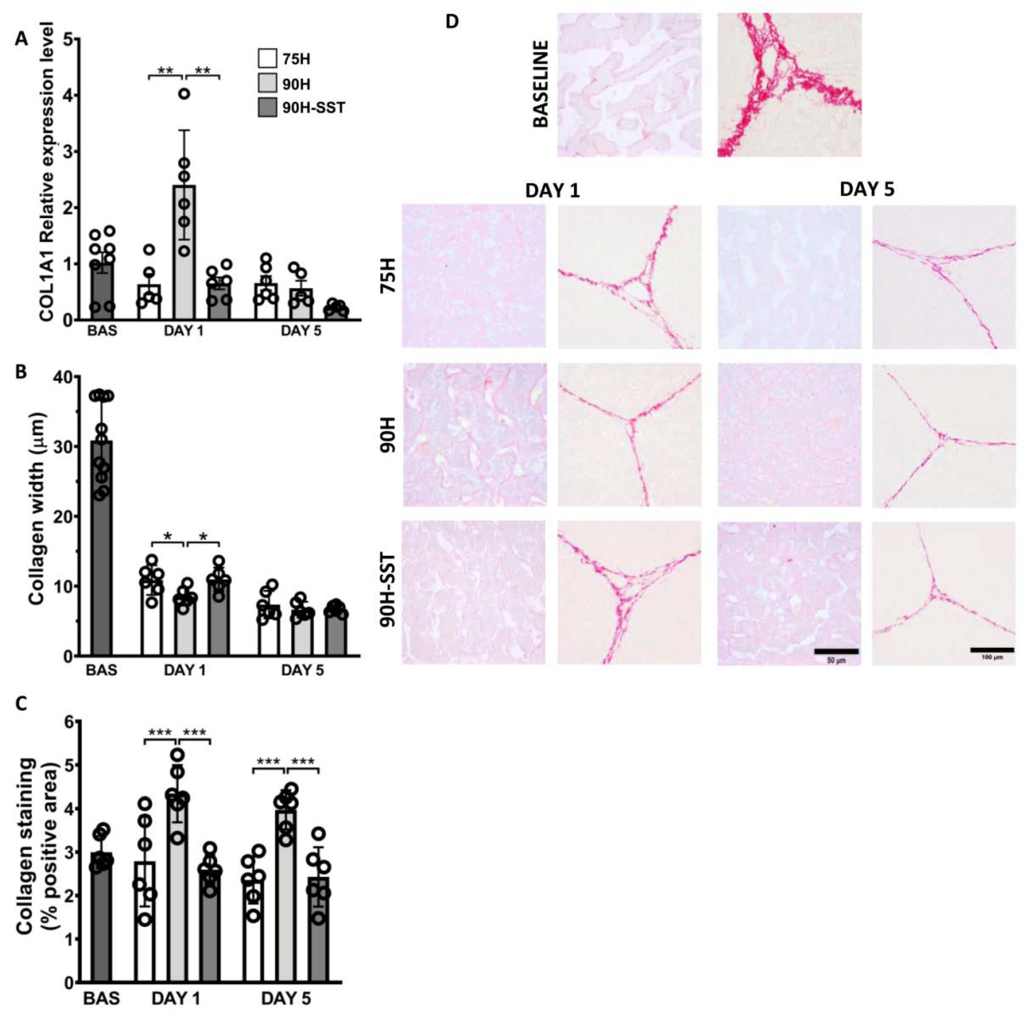Cancers 13 03989 g006