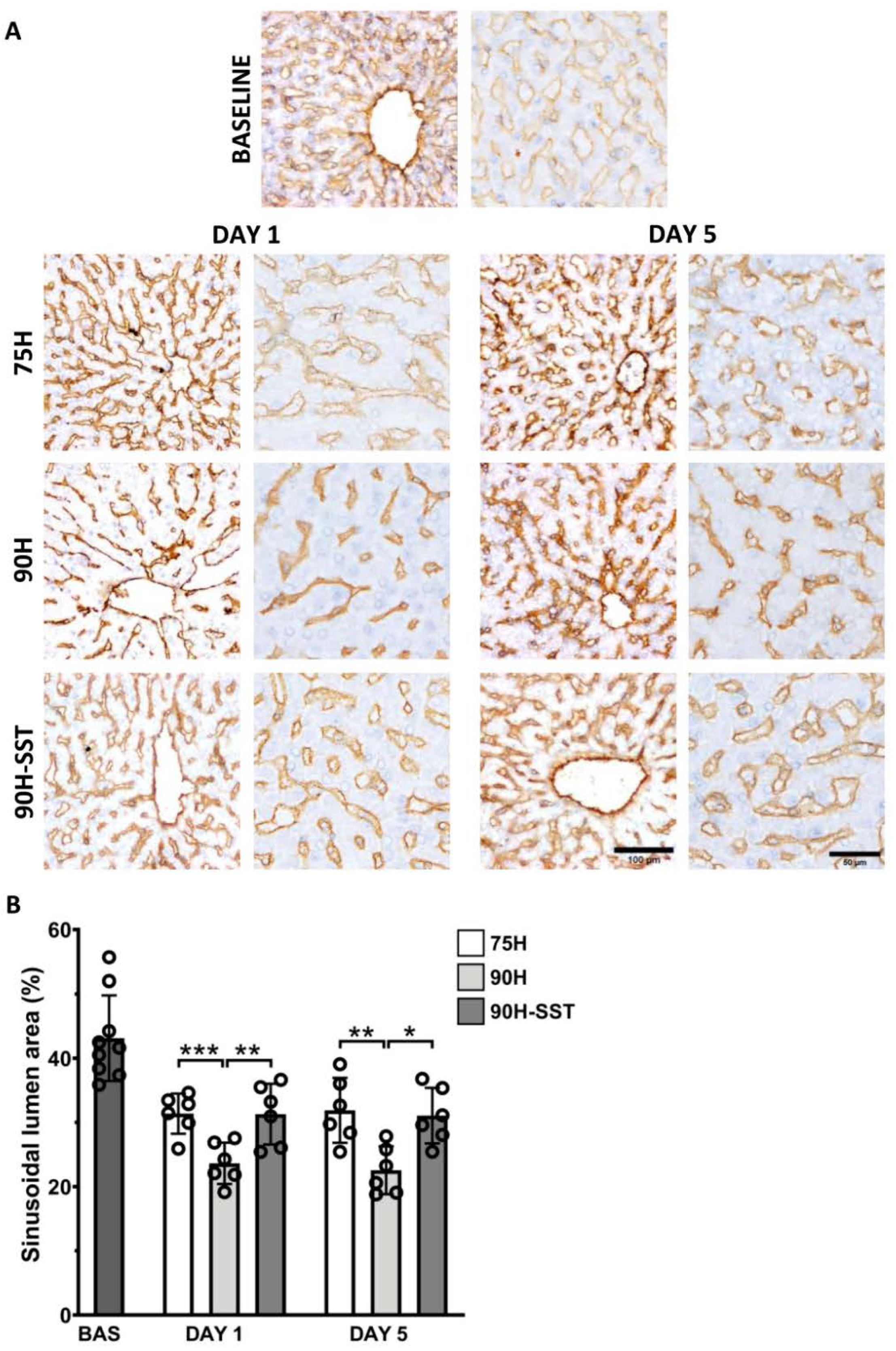 Cancers 13 03989 g007