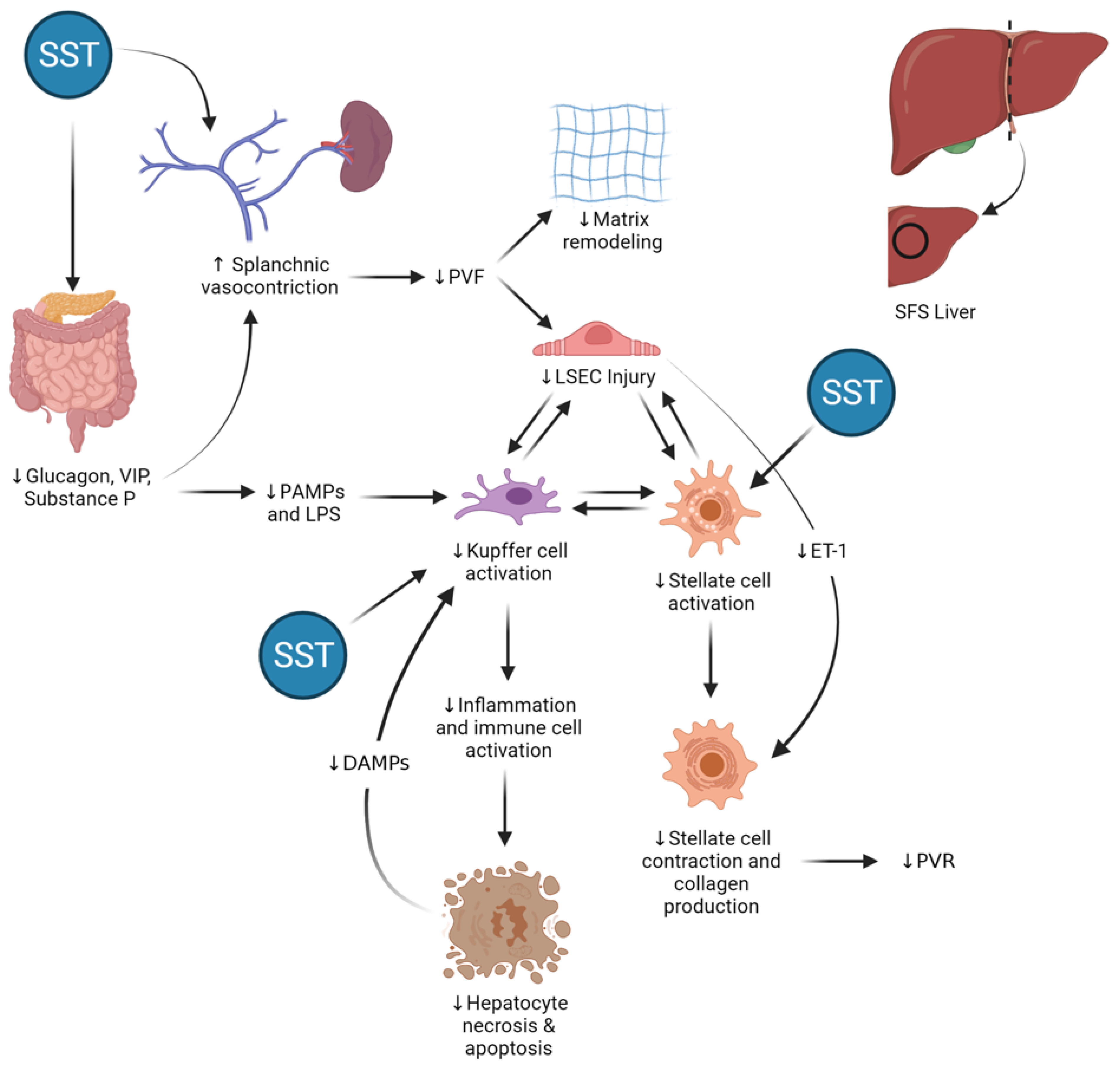 Cancers 13 03989 g008