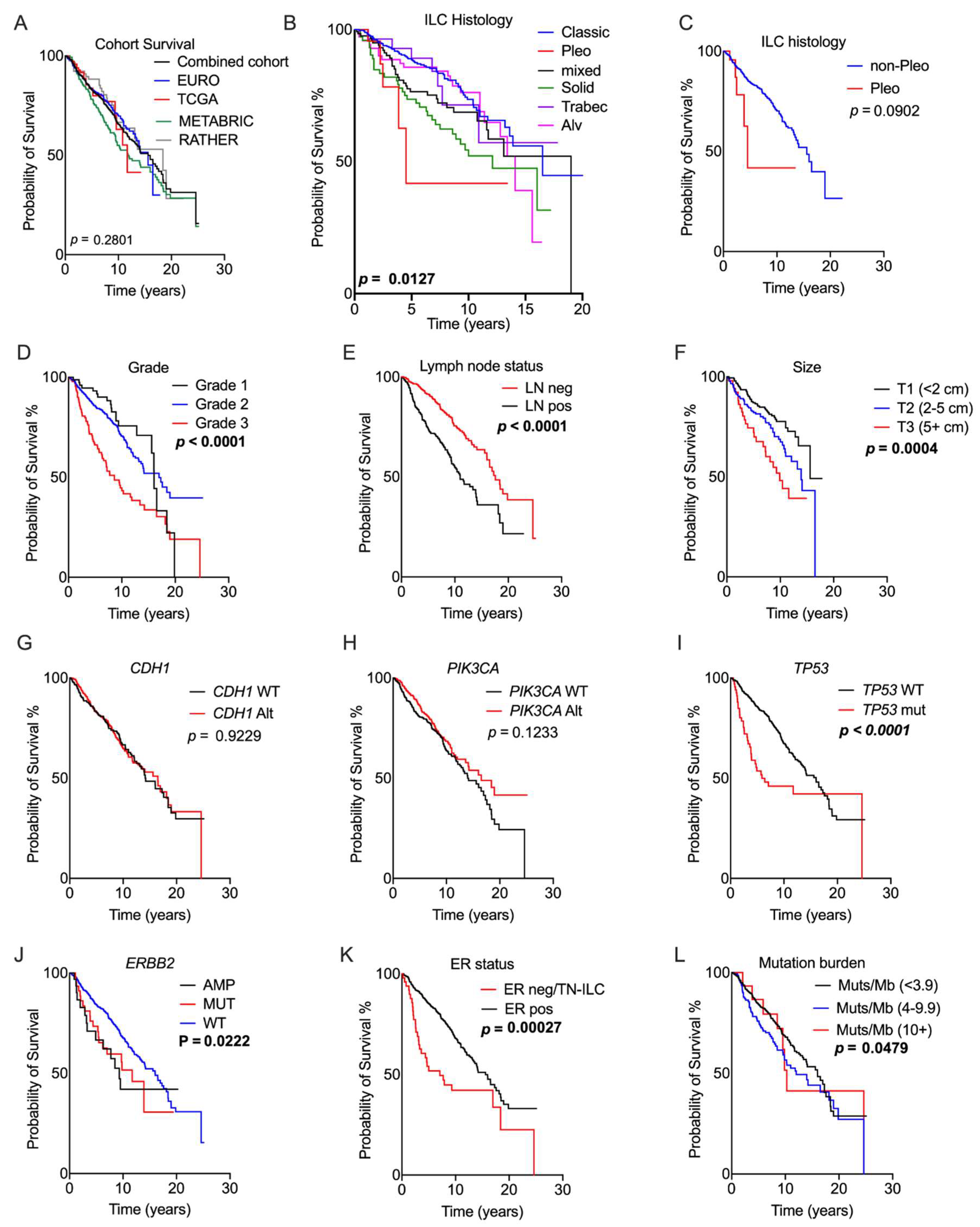 Cancers 13 04010 g002