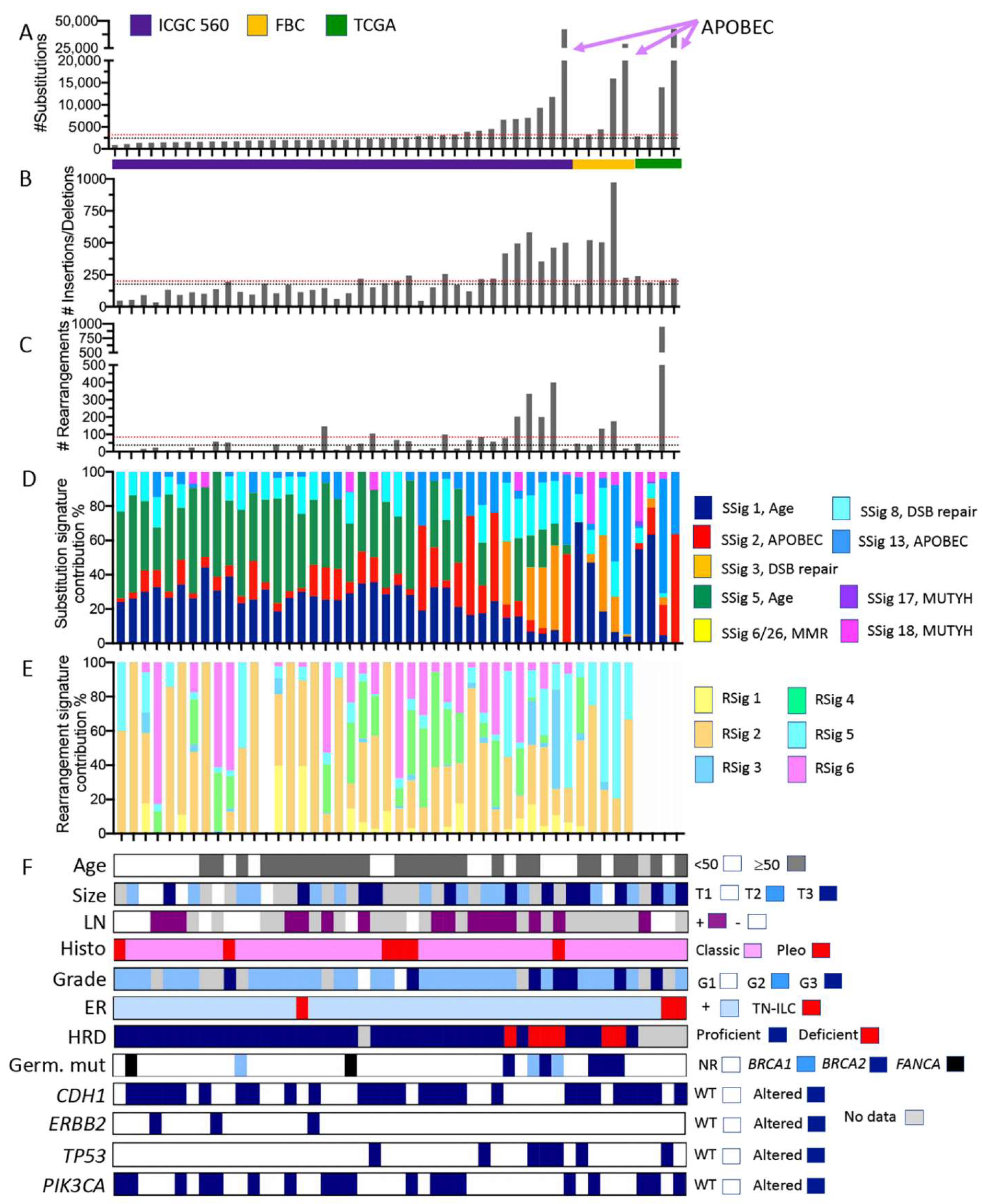 Cancers 13 04010 g003