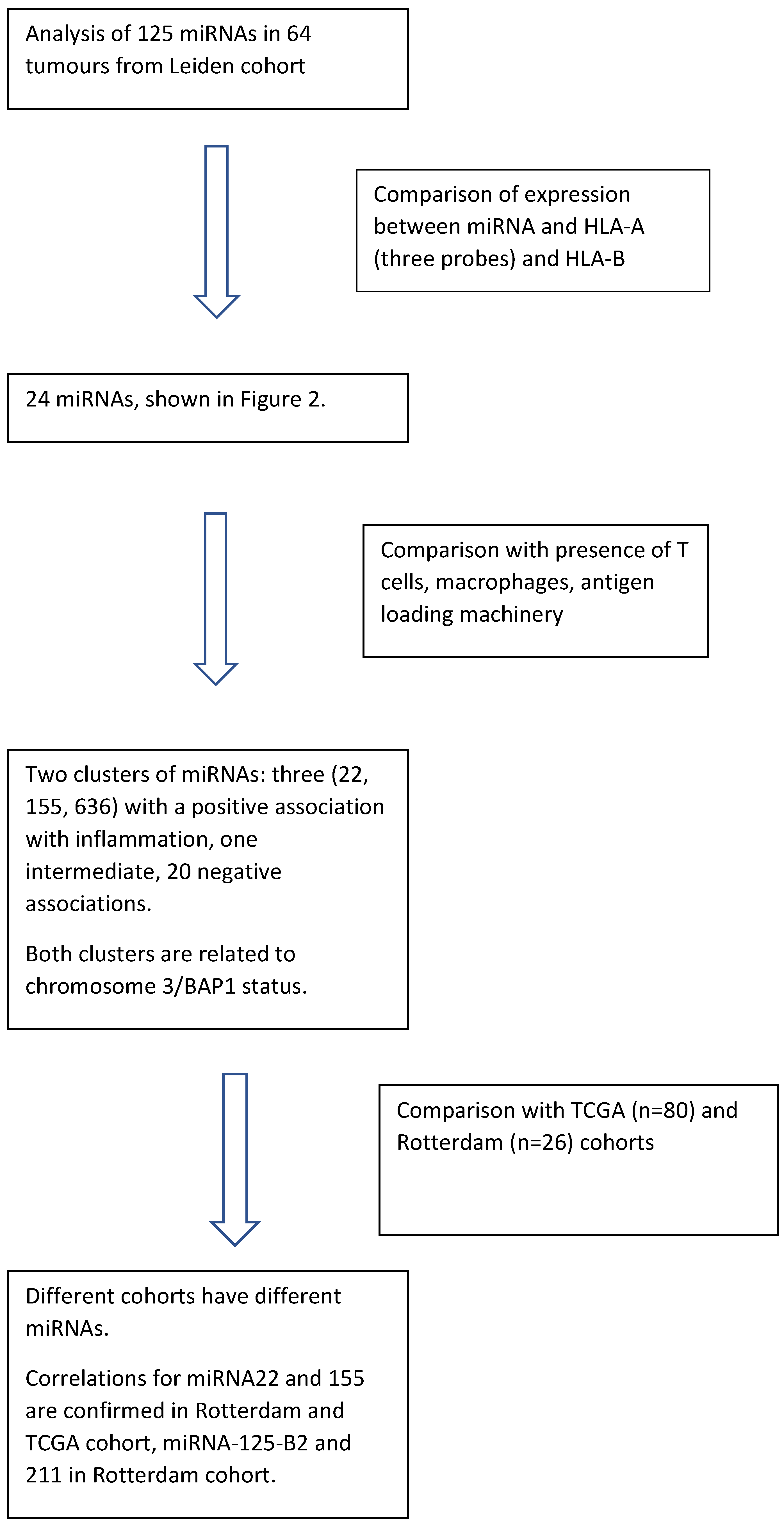 Cancers 13 04020 g001