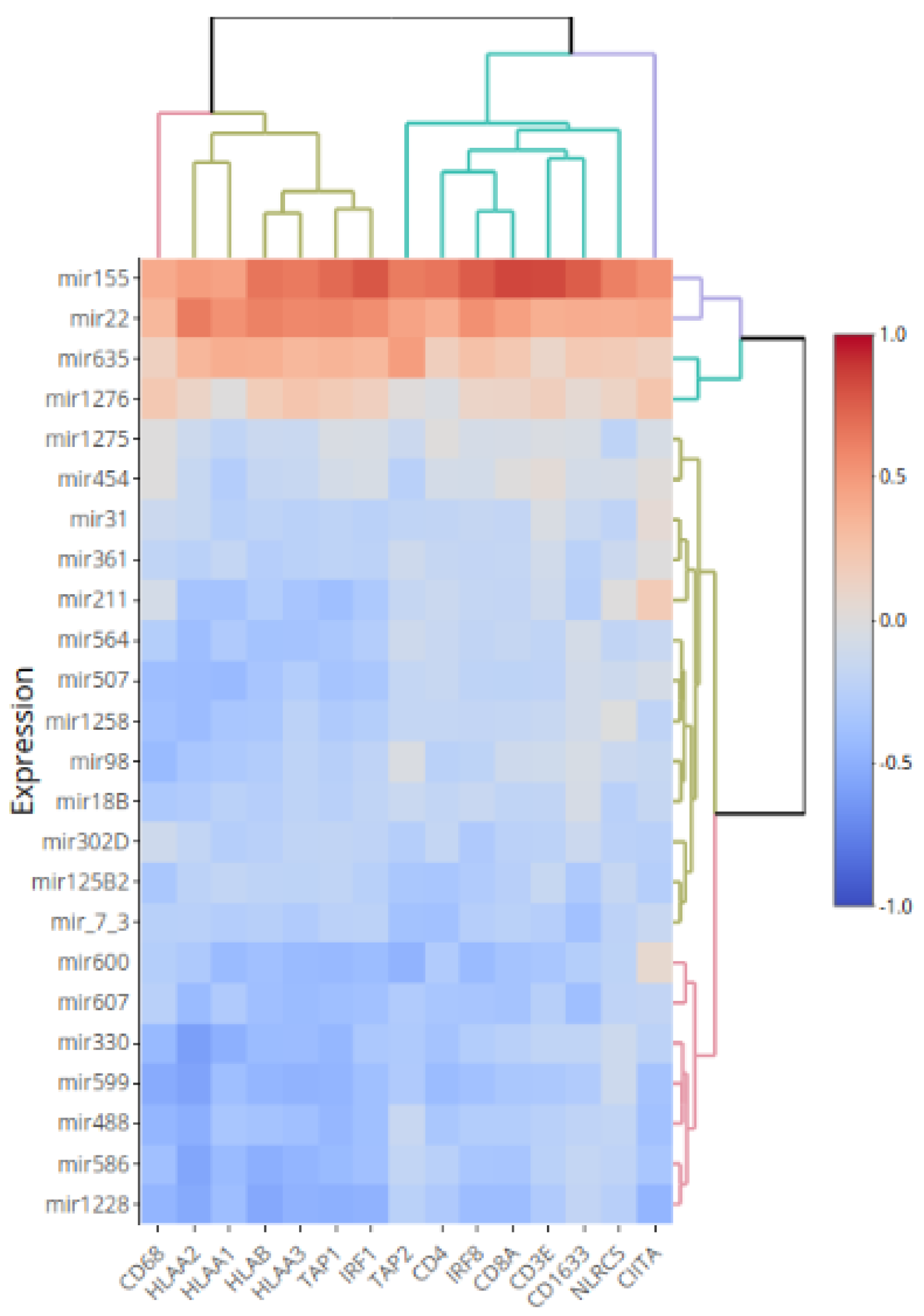 Cancers 13 04020 g002