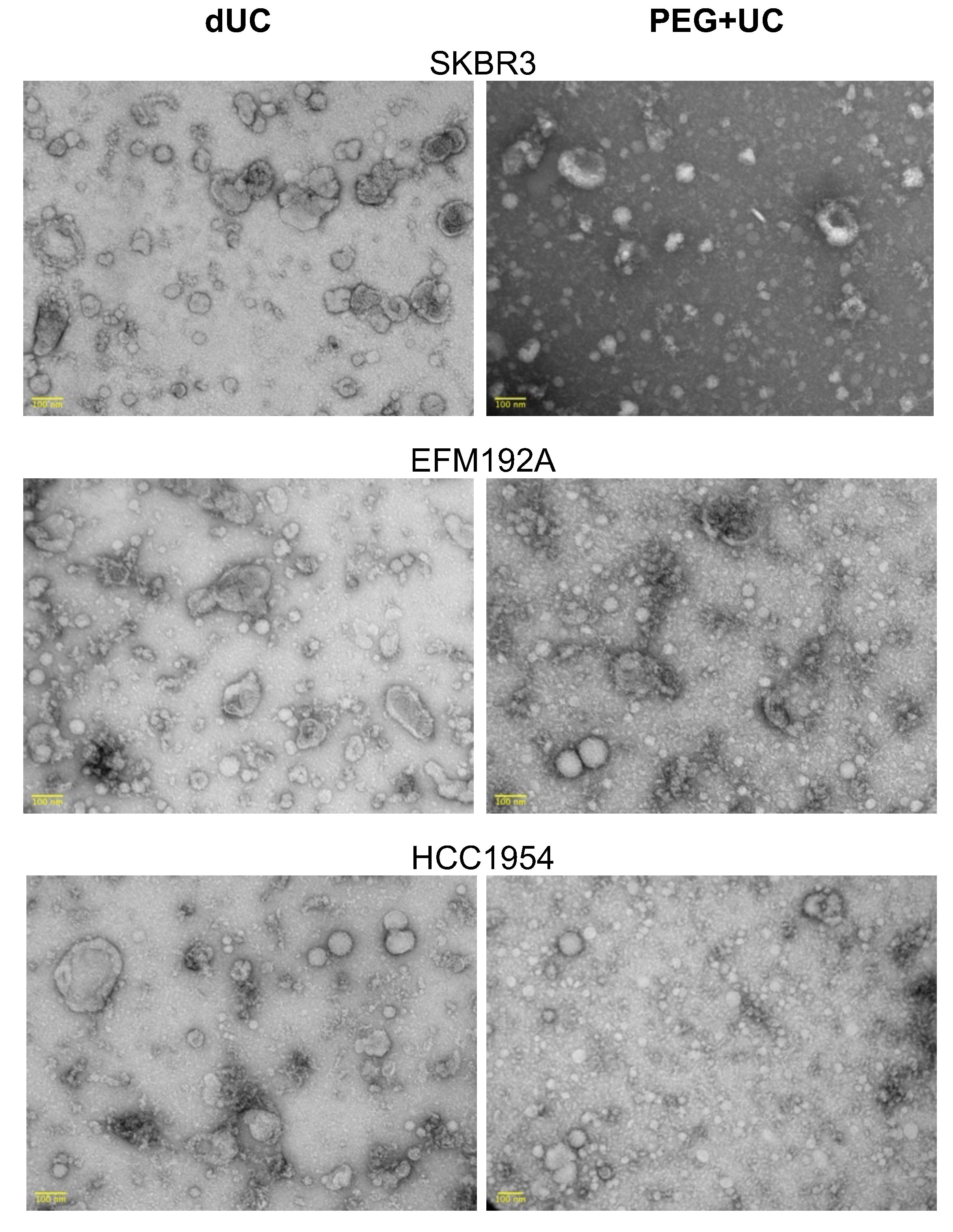 Cancers 13 04021 g003