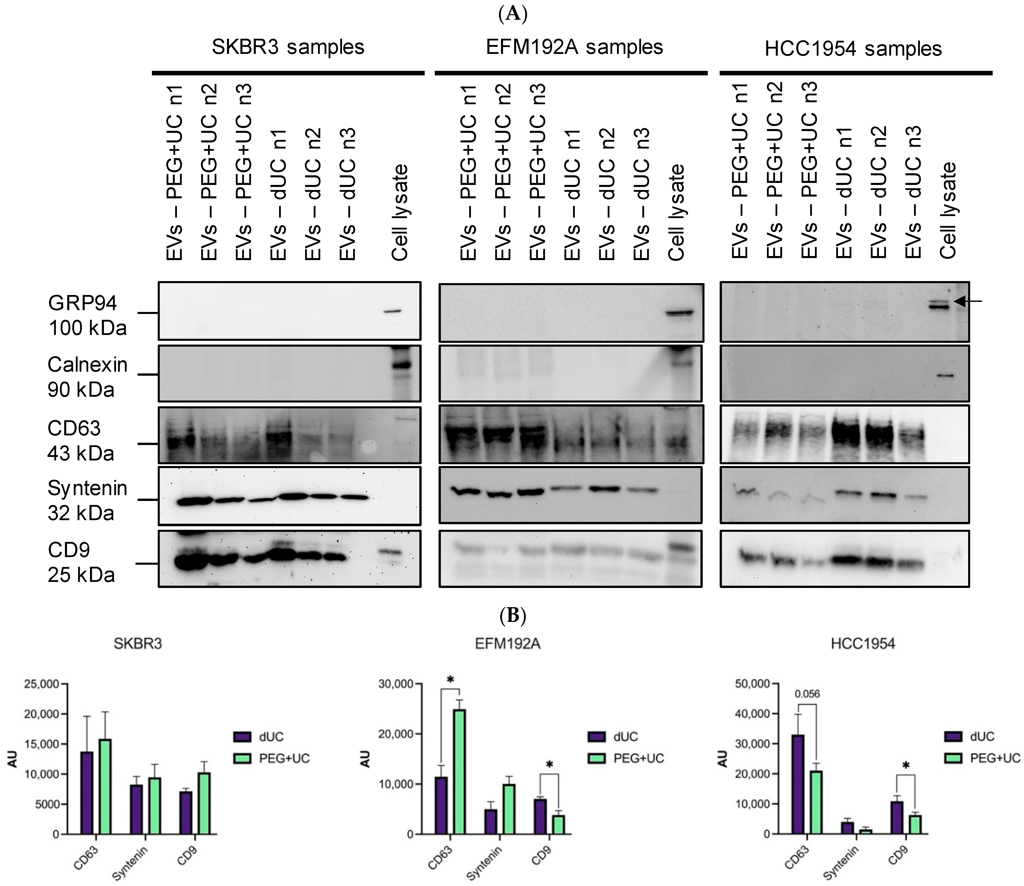 Cancers 13 04021 g006