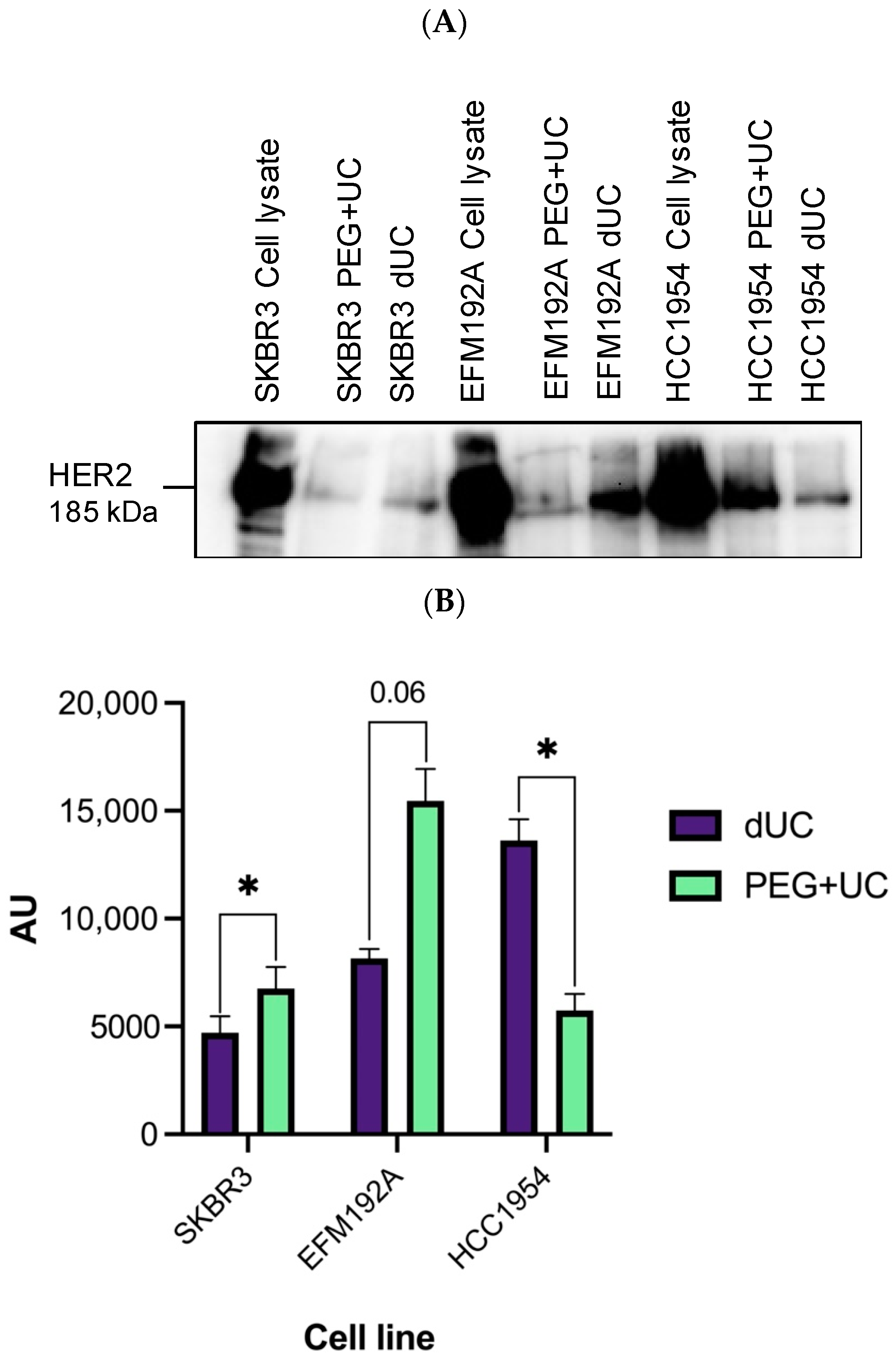 Cancers 13 04021 g007