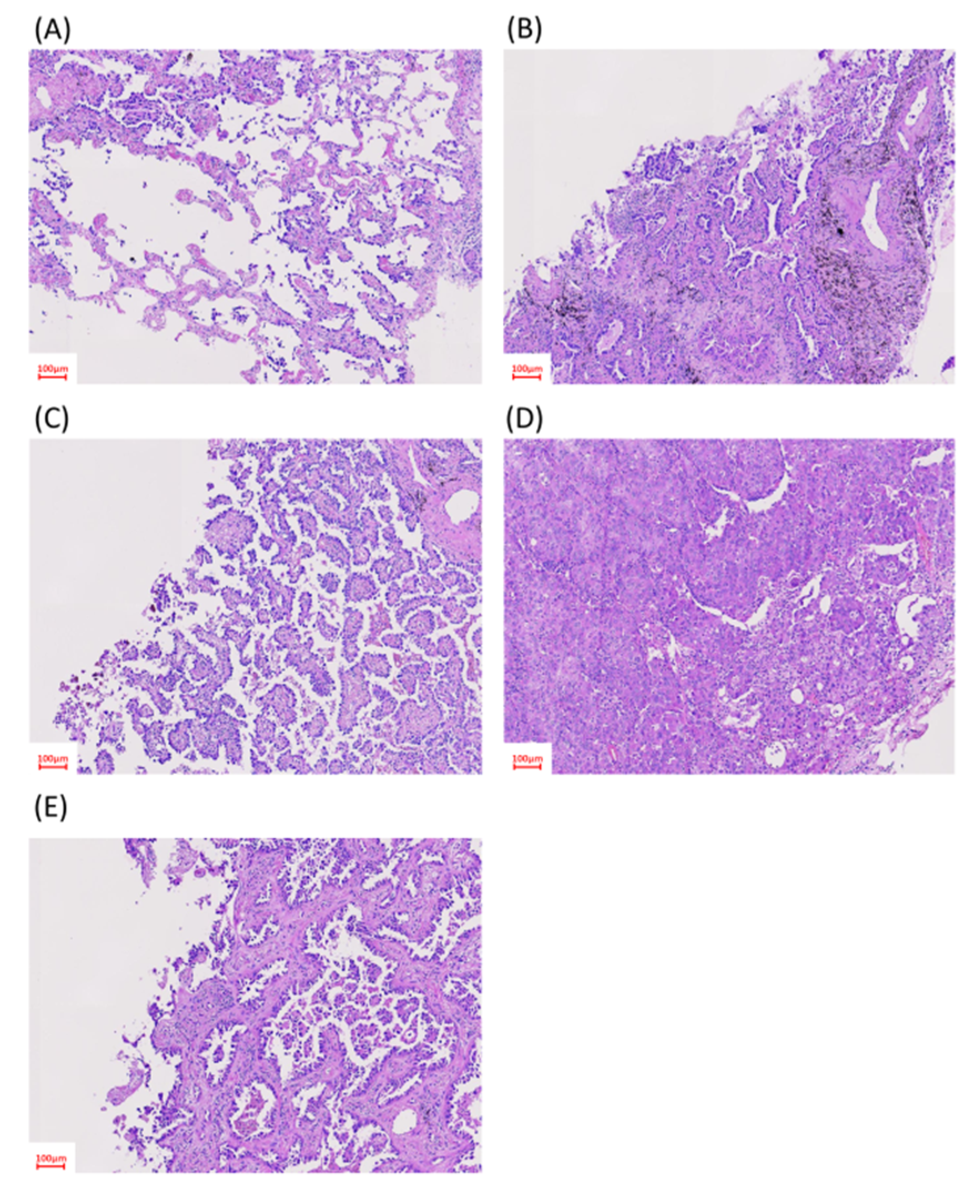 Cancers 13 04024 g002