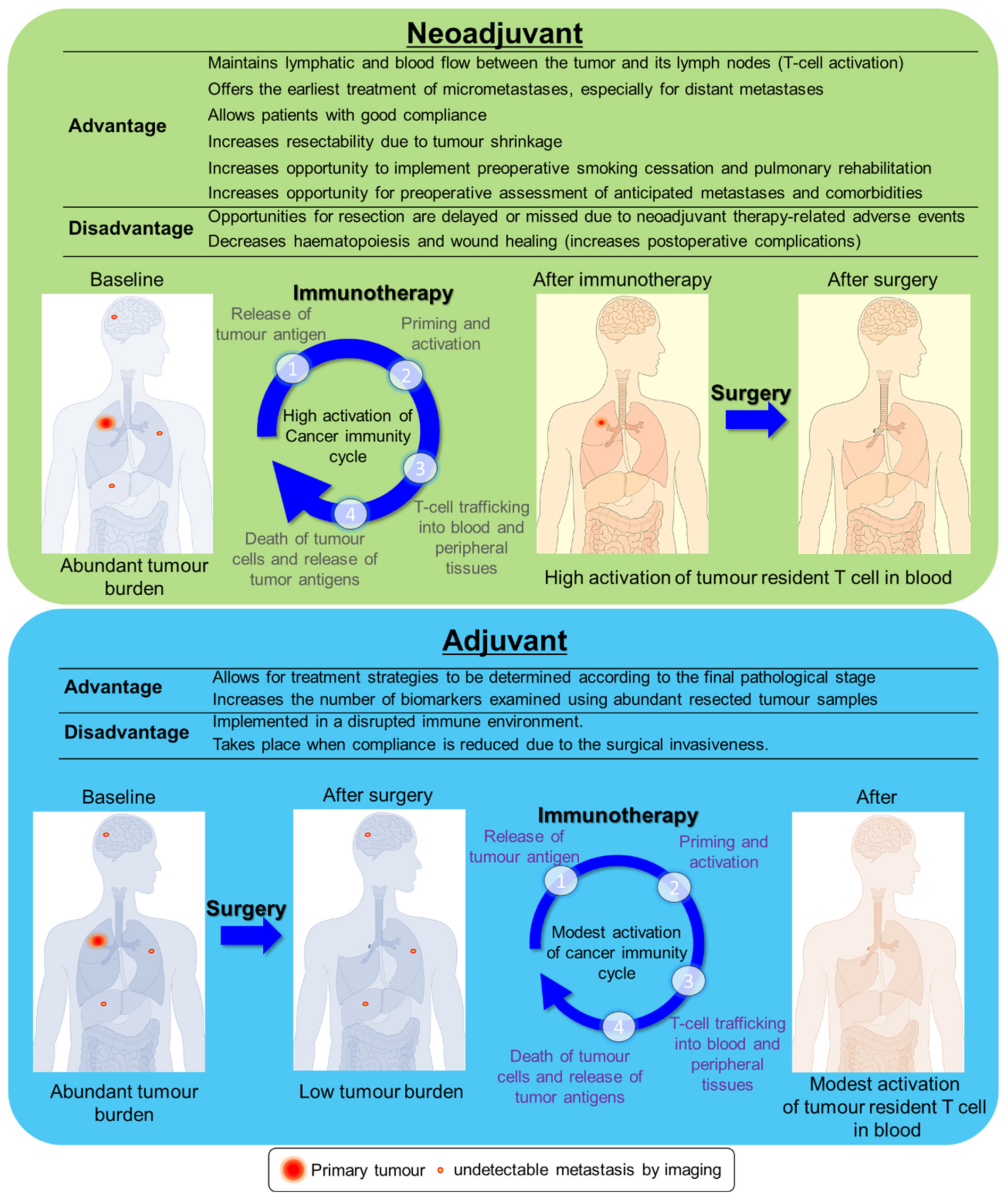 Cancers 13 04035 g001 Cancers 13 04035 g001