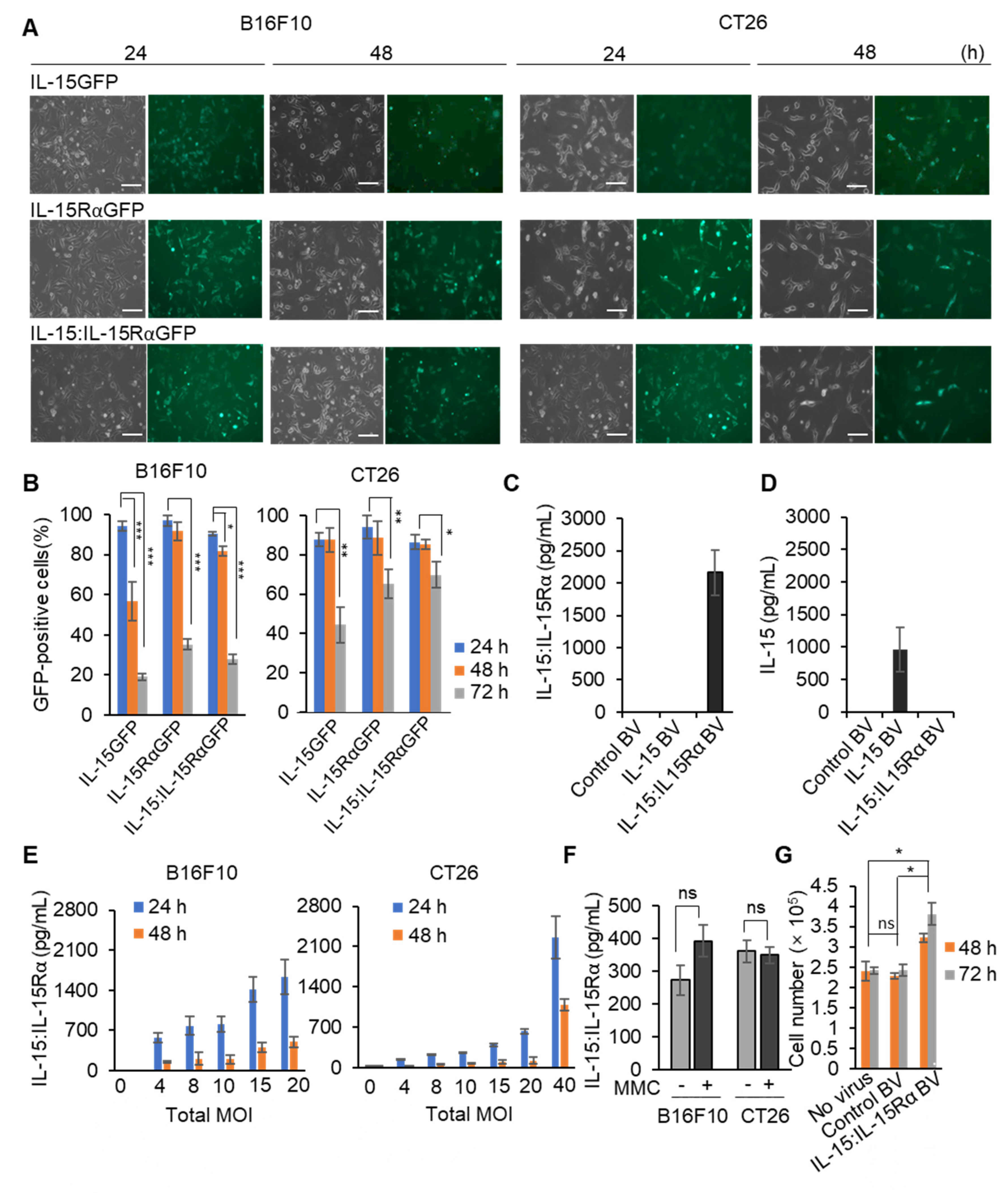Cancers 13 04039 g002 Cancers 13 04039 g002