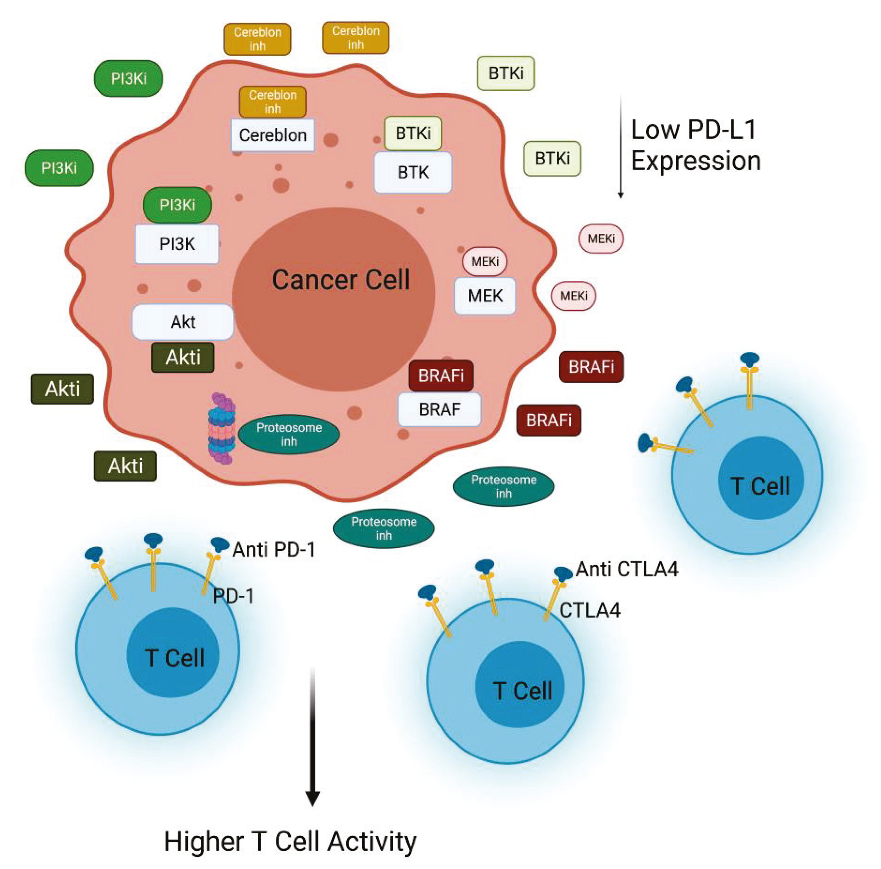 Cancers 13 04040 g002