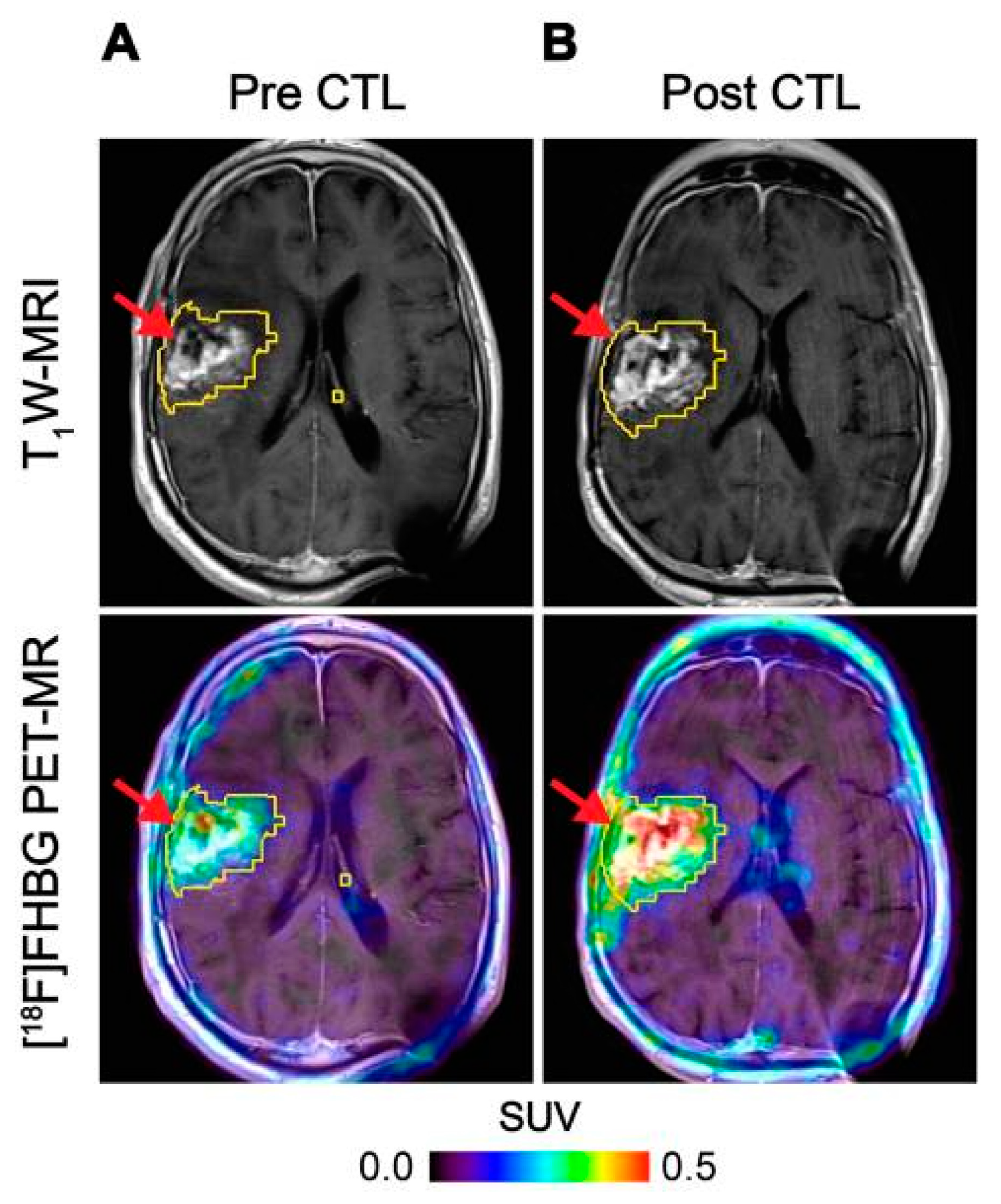 Cancers 13 04042 g003