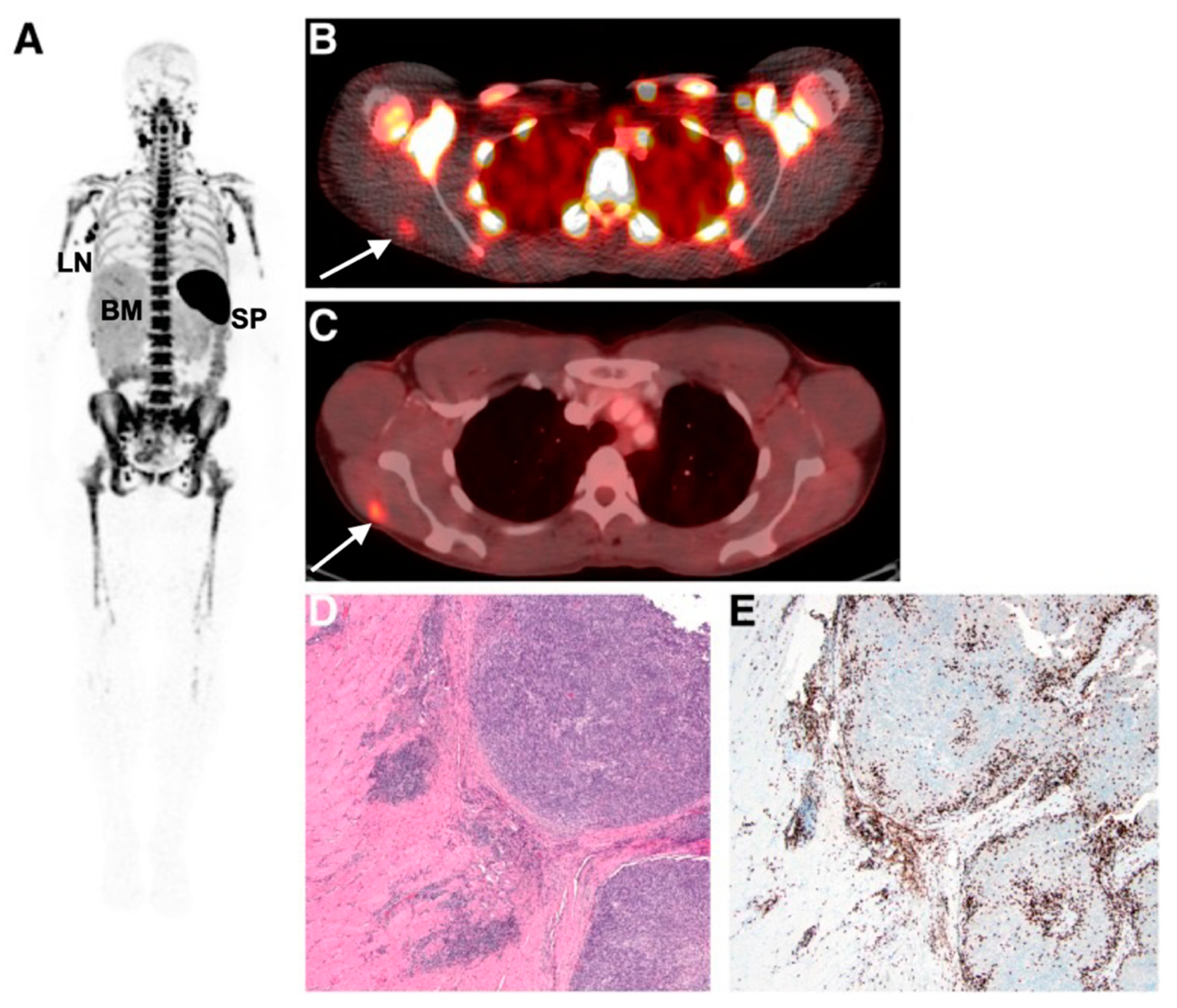 Cancers 13 04042 g004