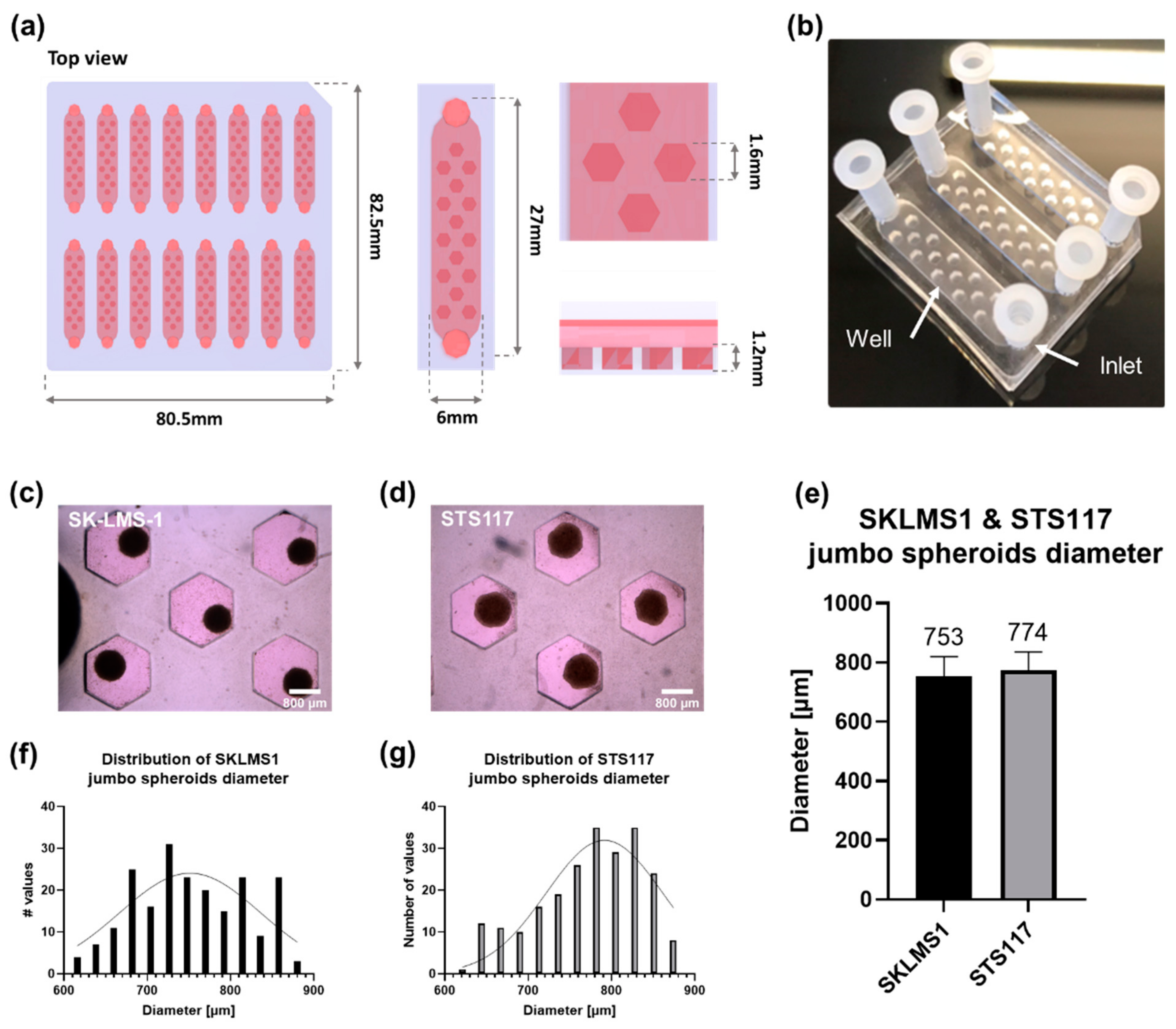 Cancers 13 04046 g002