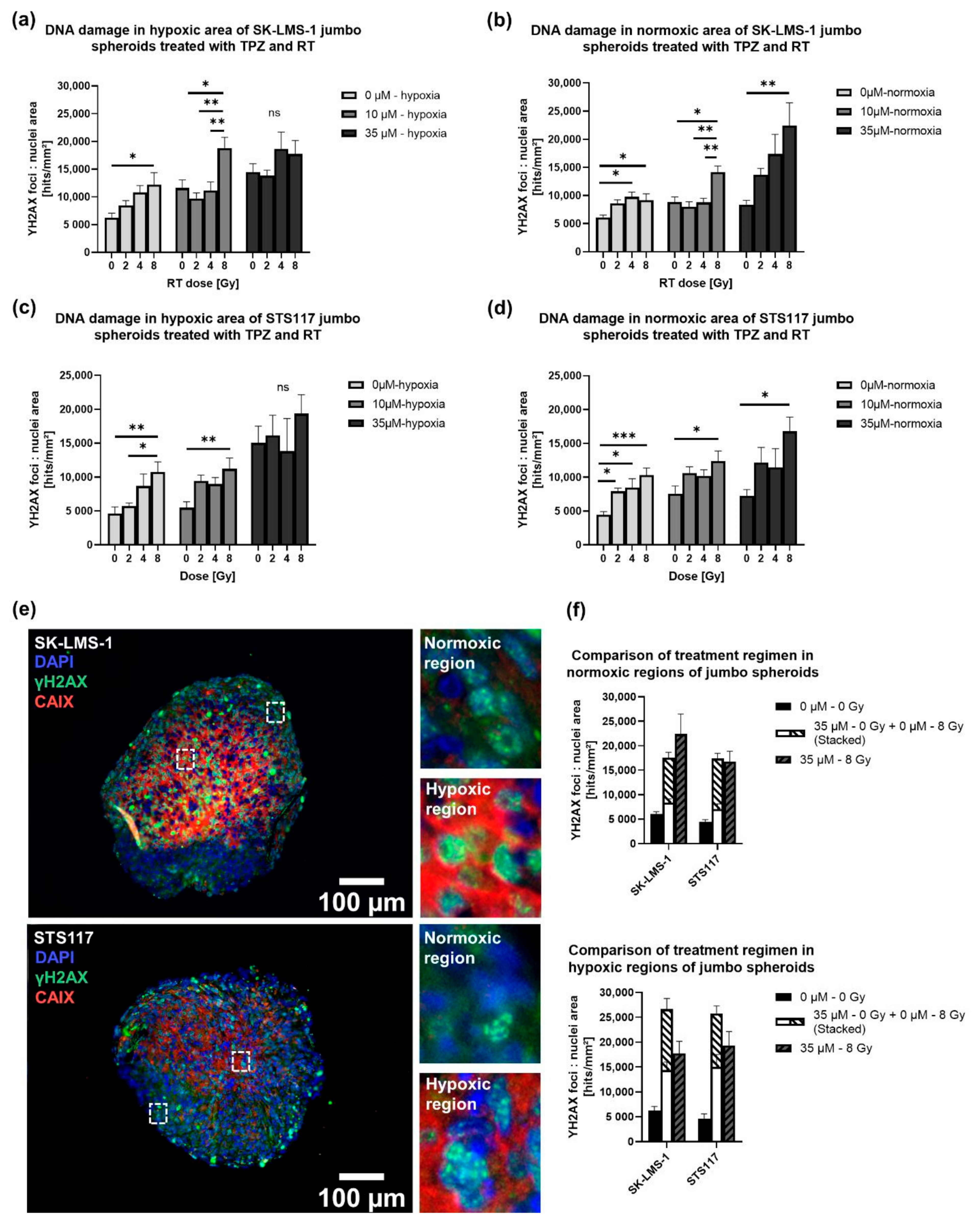 Cancers 13 04046 g006