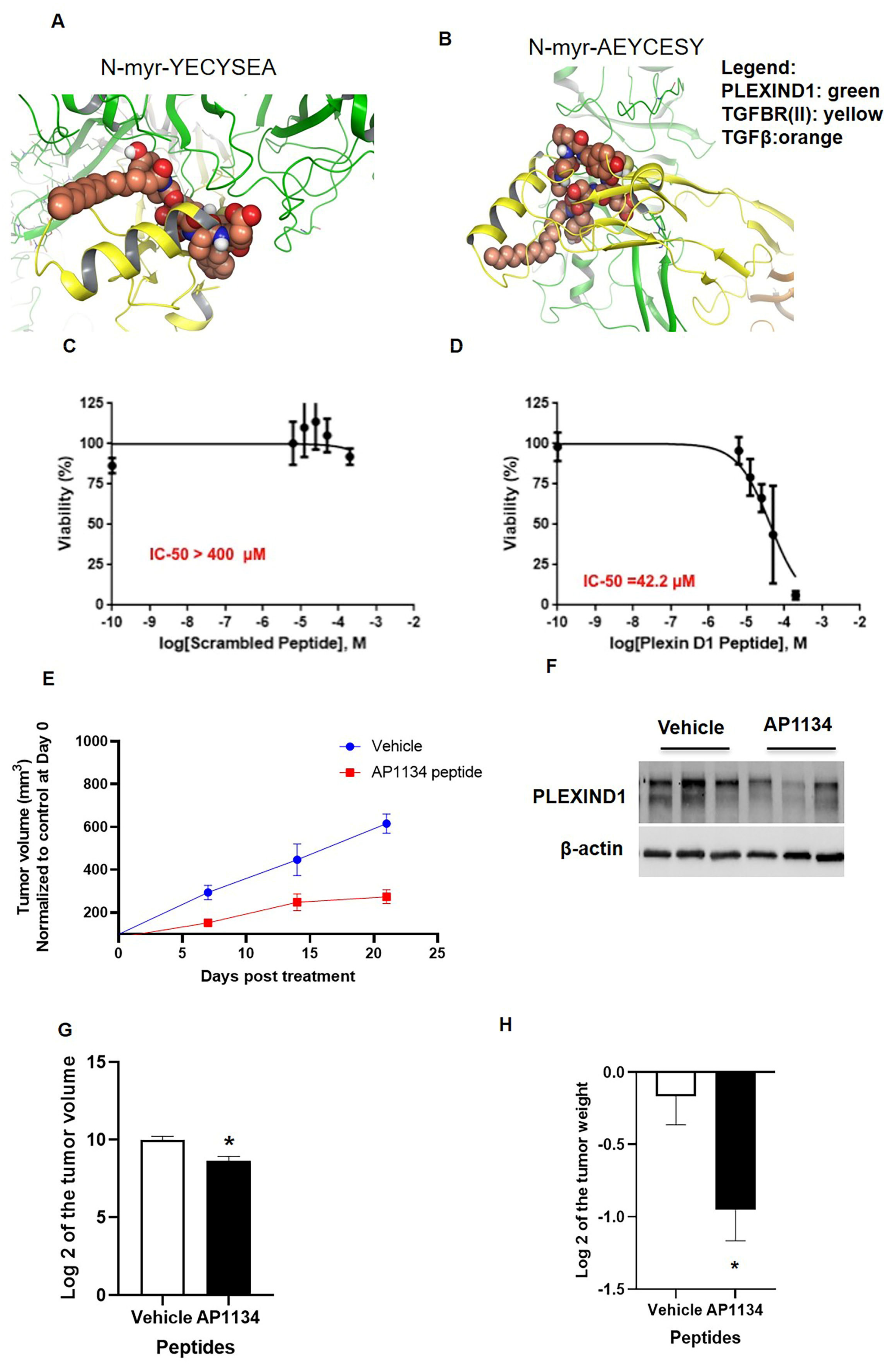 Cancers 13 04048 g007
