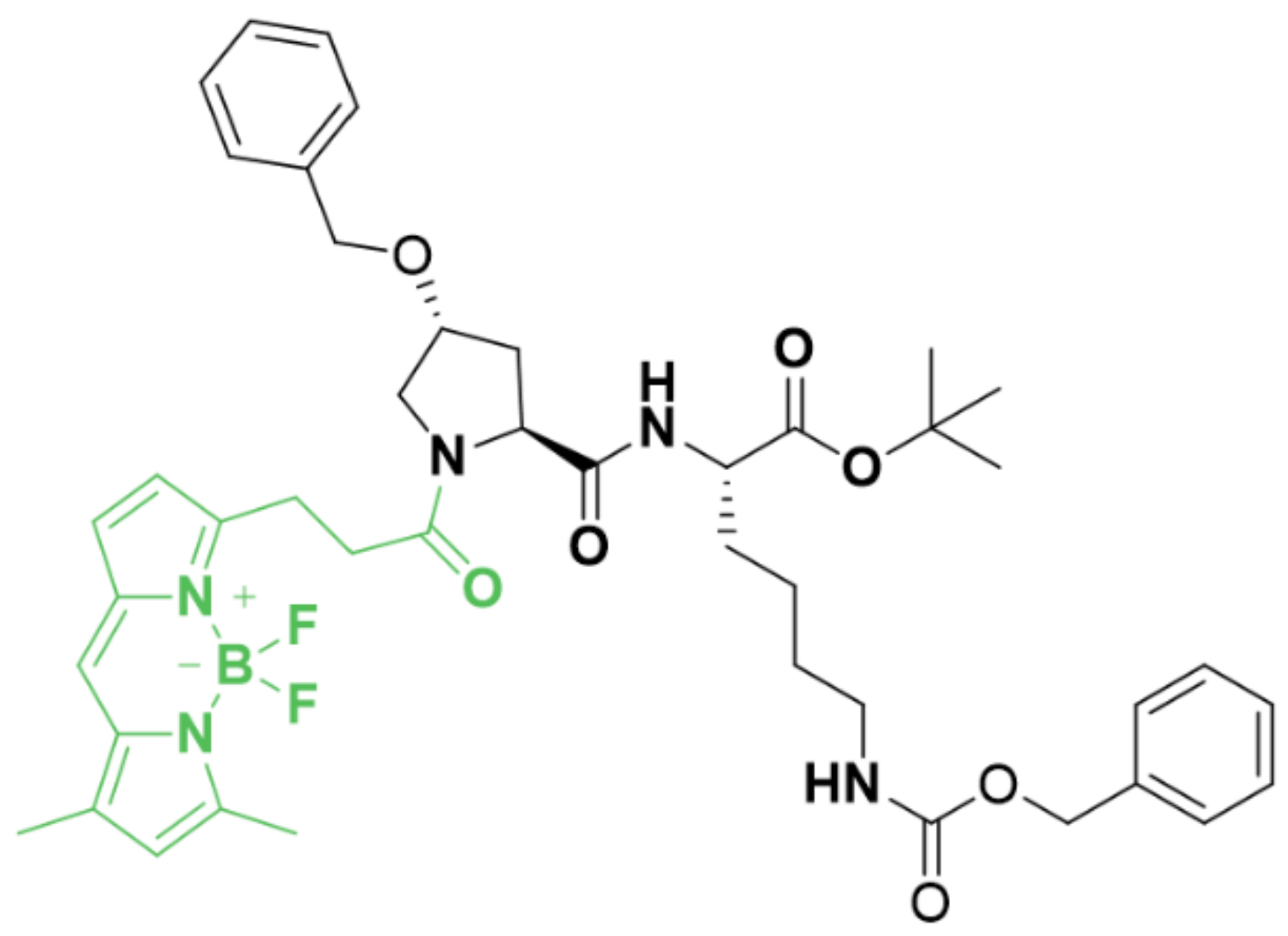 Cancers 13 04050 g001