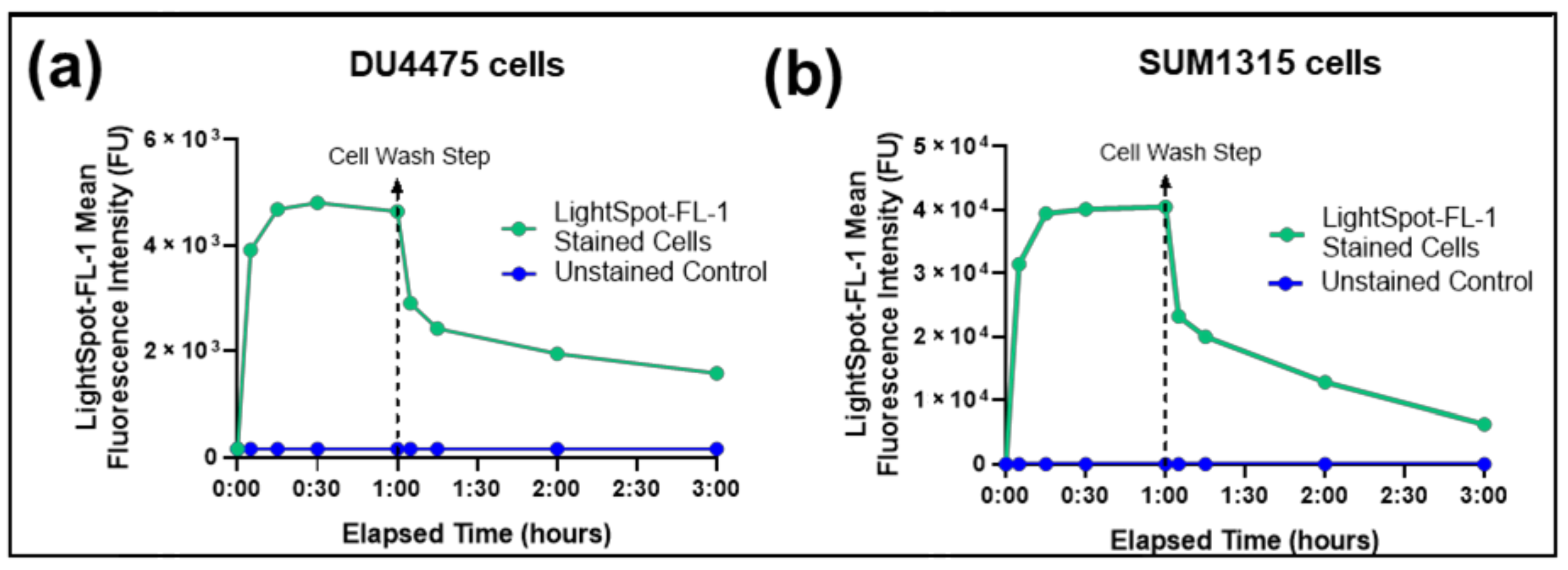 Cancers 13 04050 g002