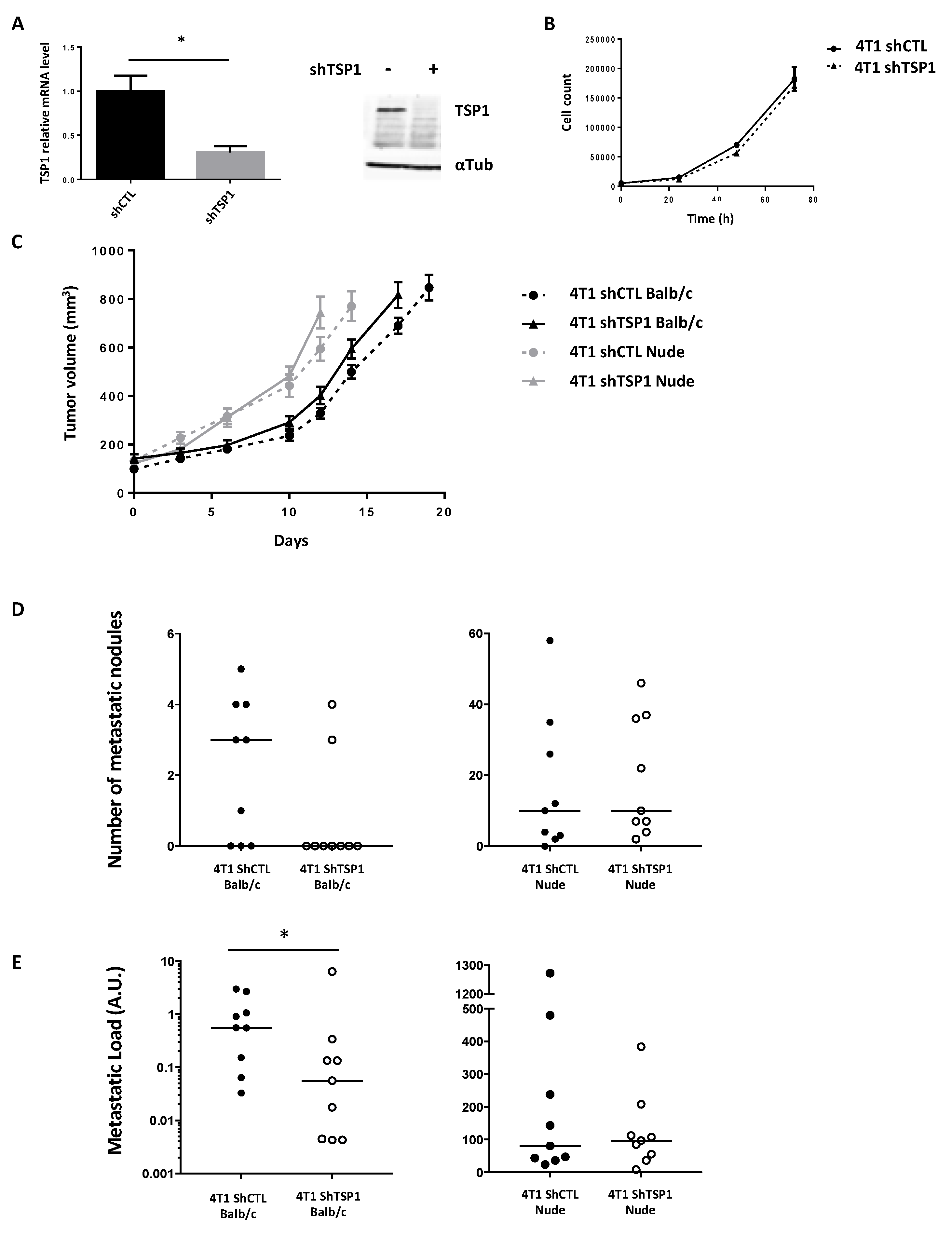 Cancers 13 04059 g003