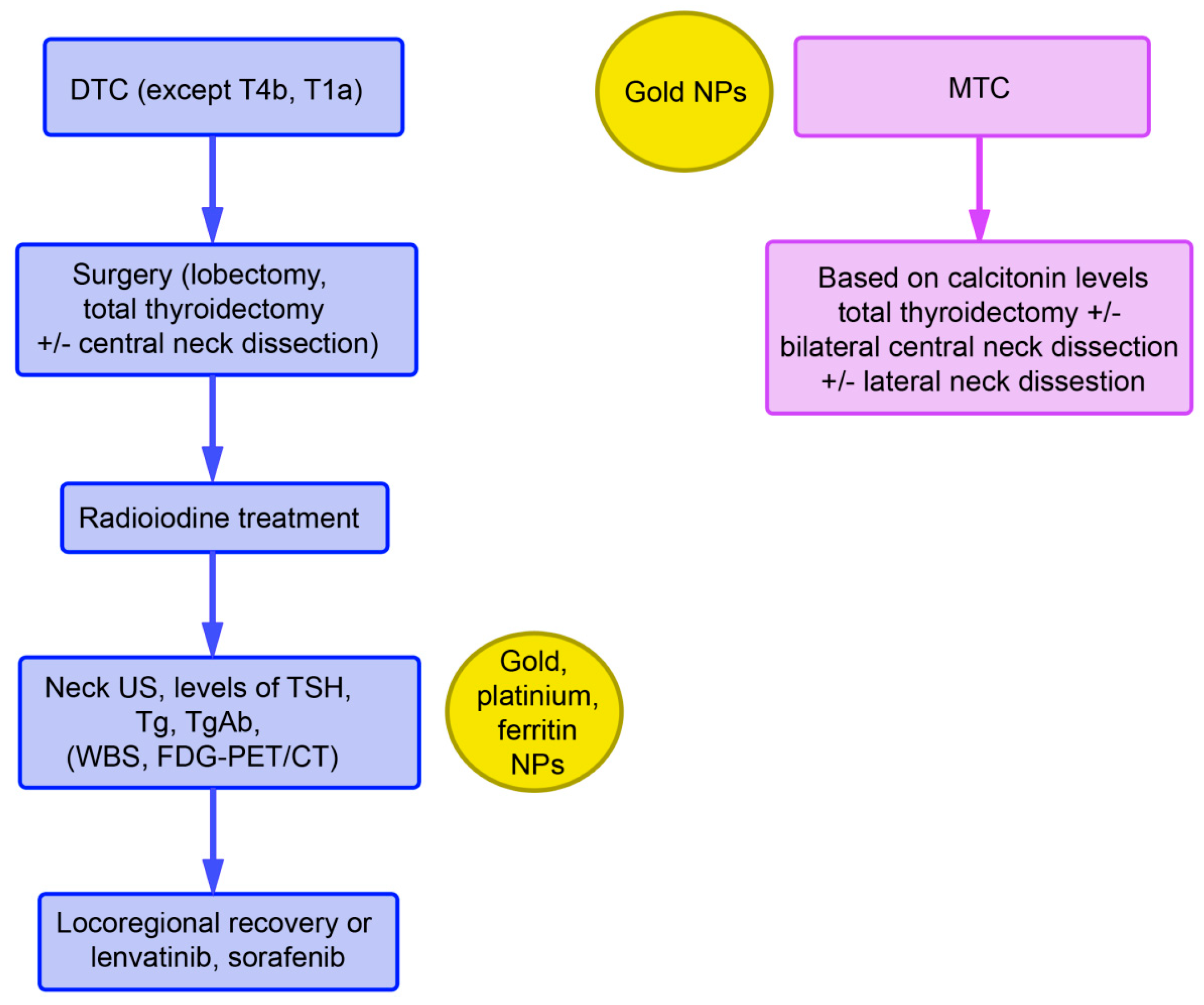 Cancers 13 04063 g001