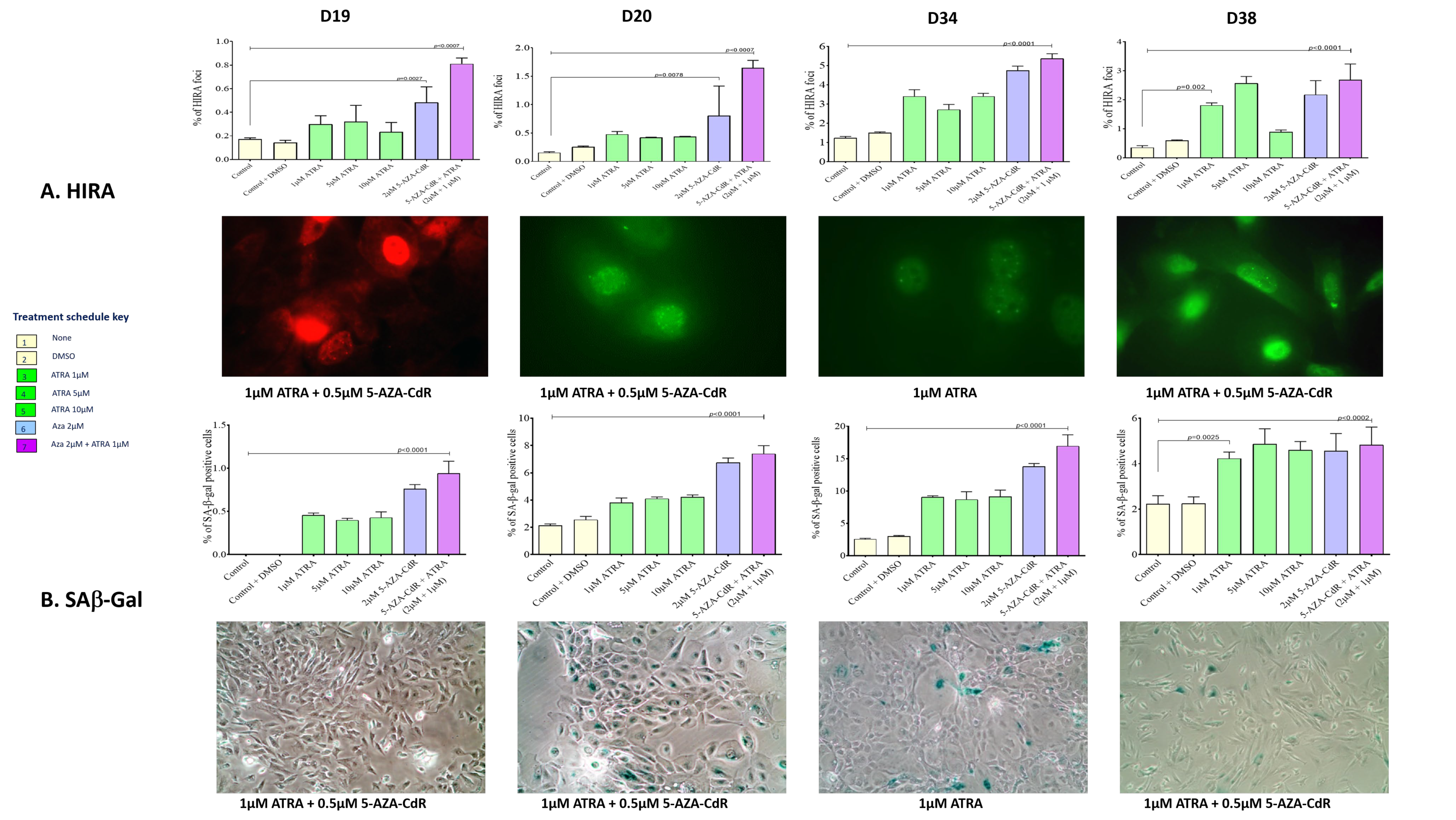 Cancers 13 04064 g004