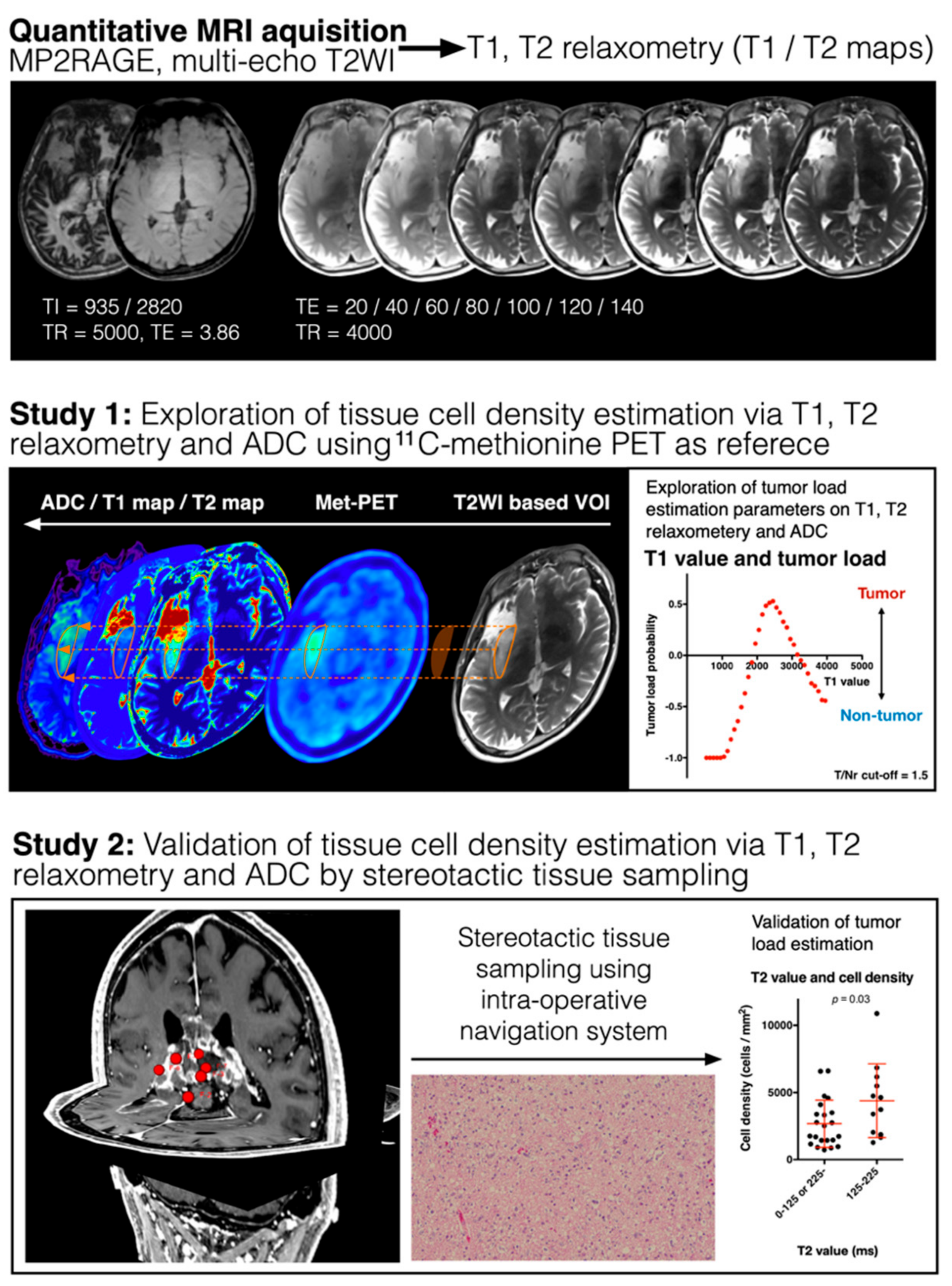 Cancers 13 04067 g001