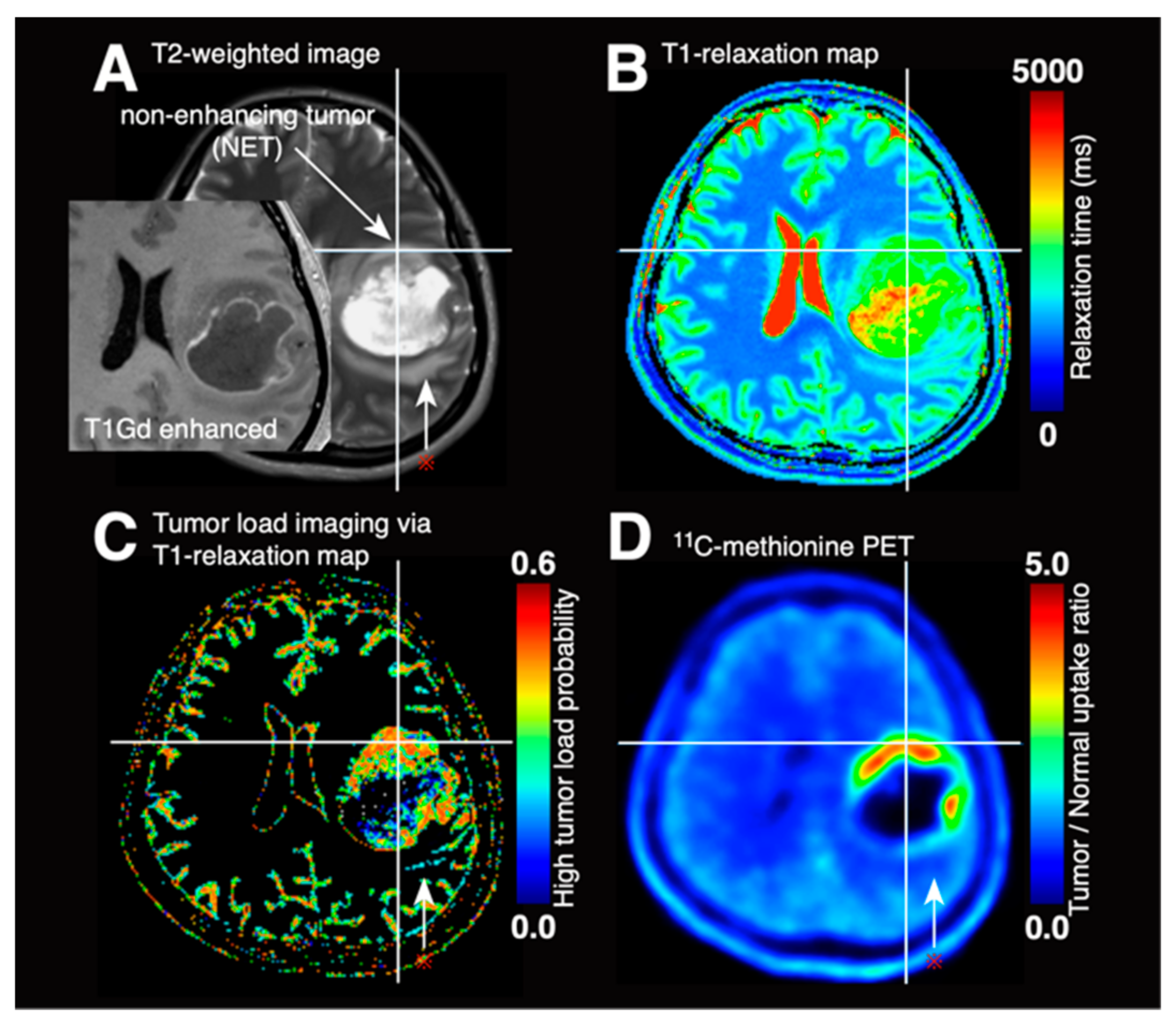 Cancers 13 04067 g004