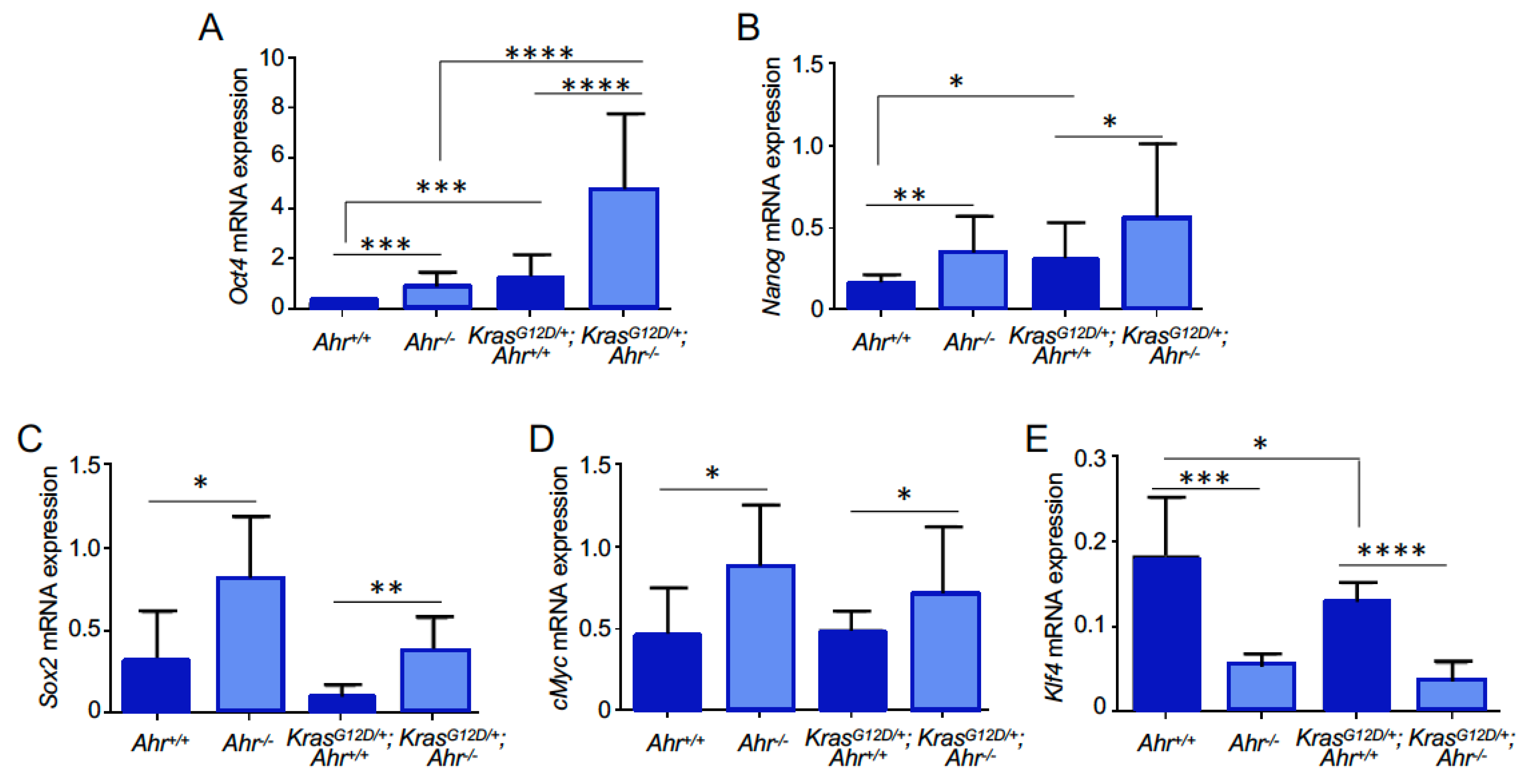 Cancers 13 04071 g008