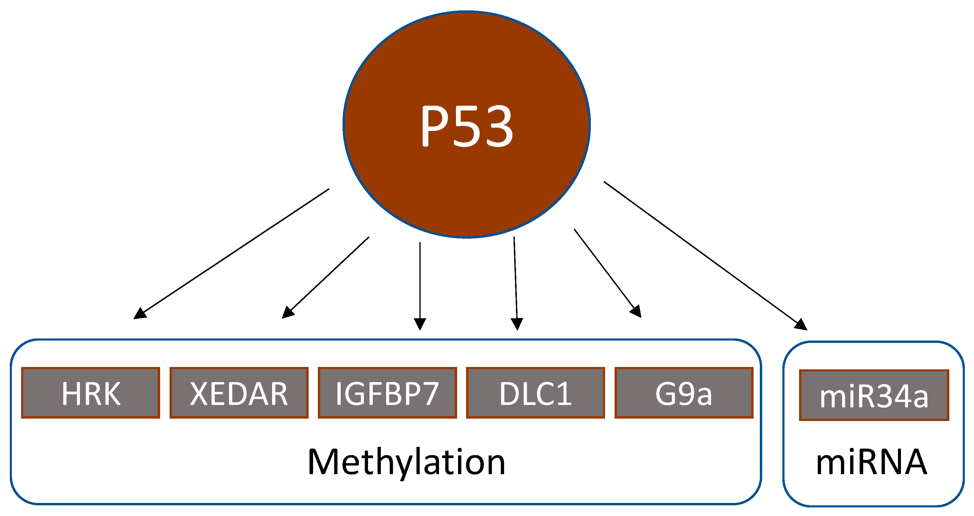Cancers 13 04072 g002