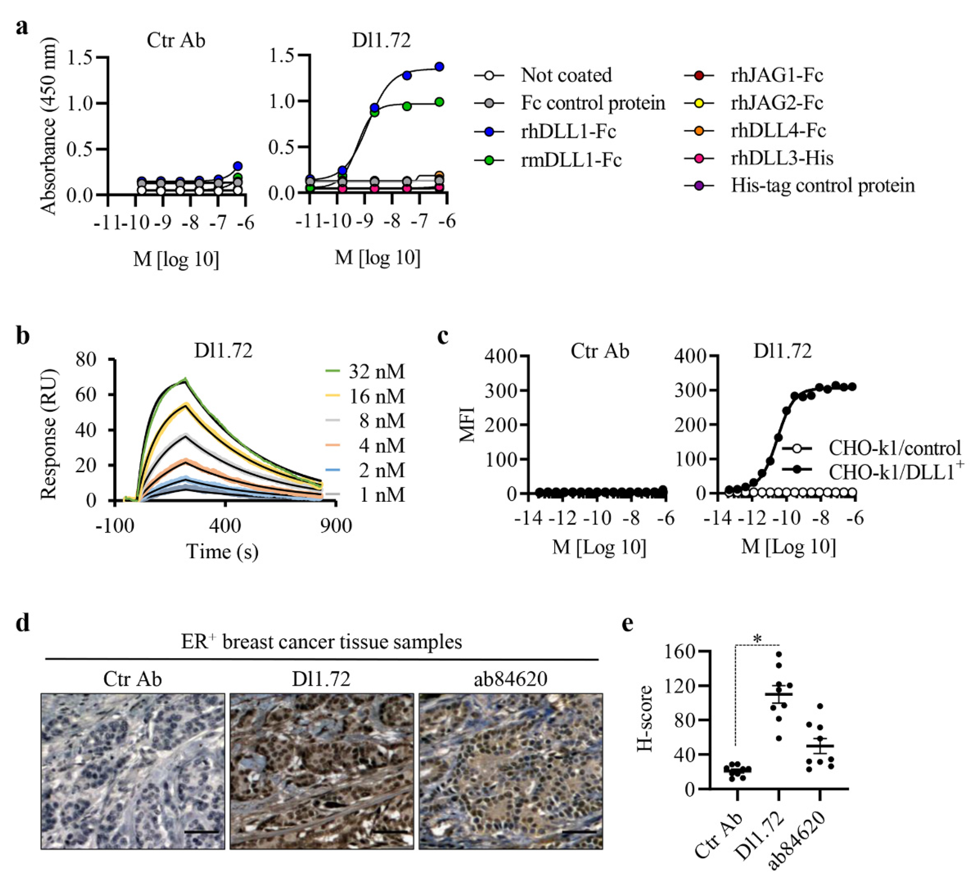 Cancers 13 04074 g001