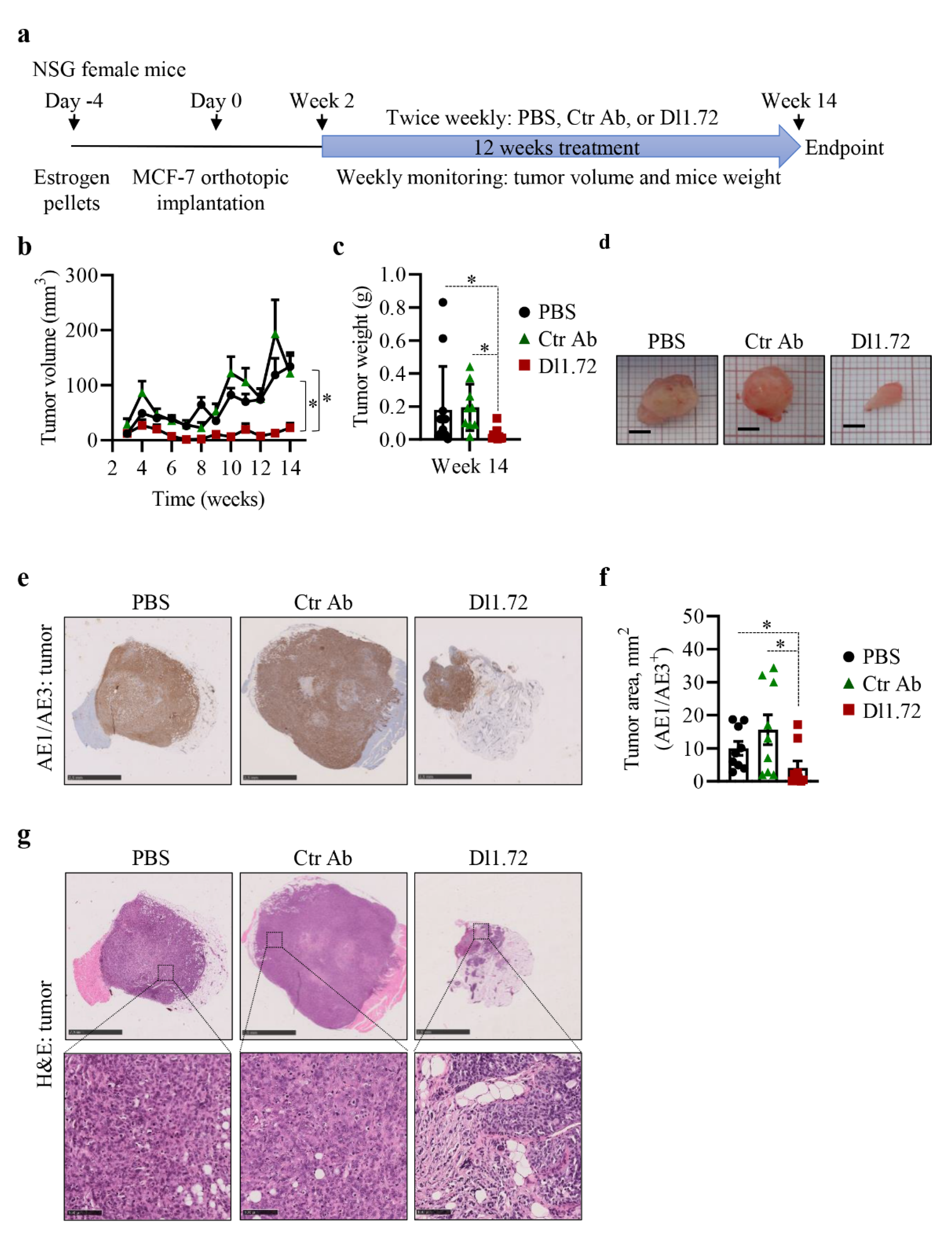Cancers 13 04074 g005