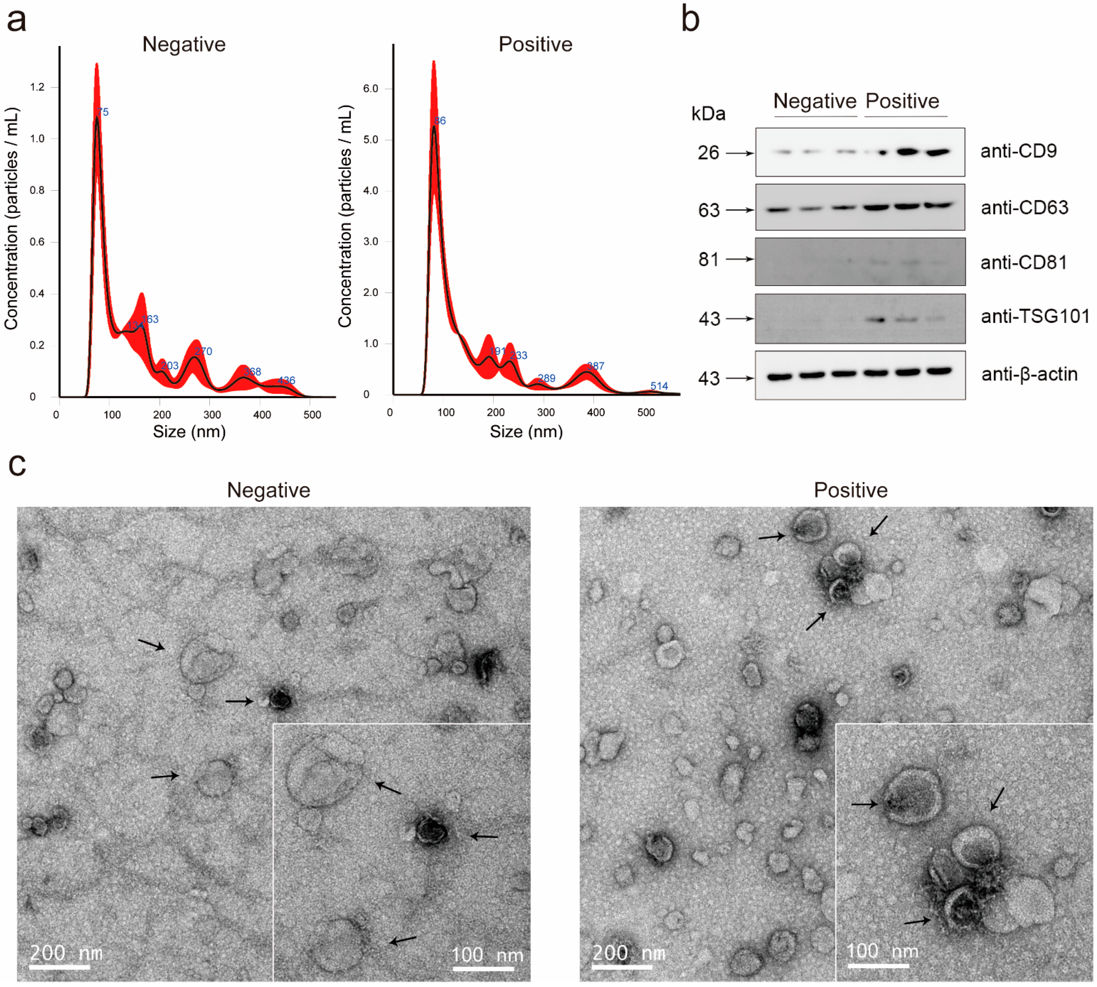 Cancers 13 04075 g001