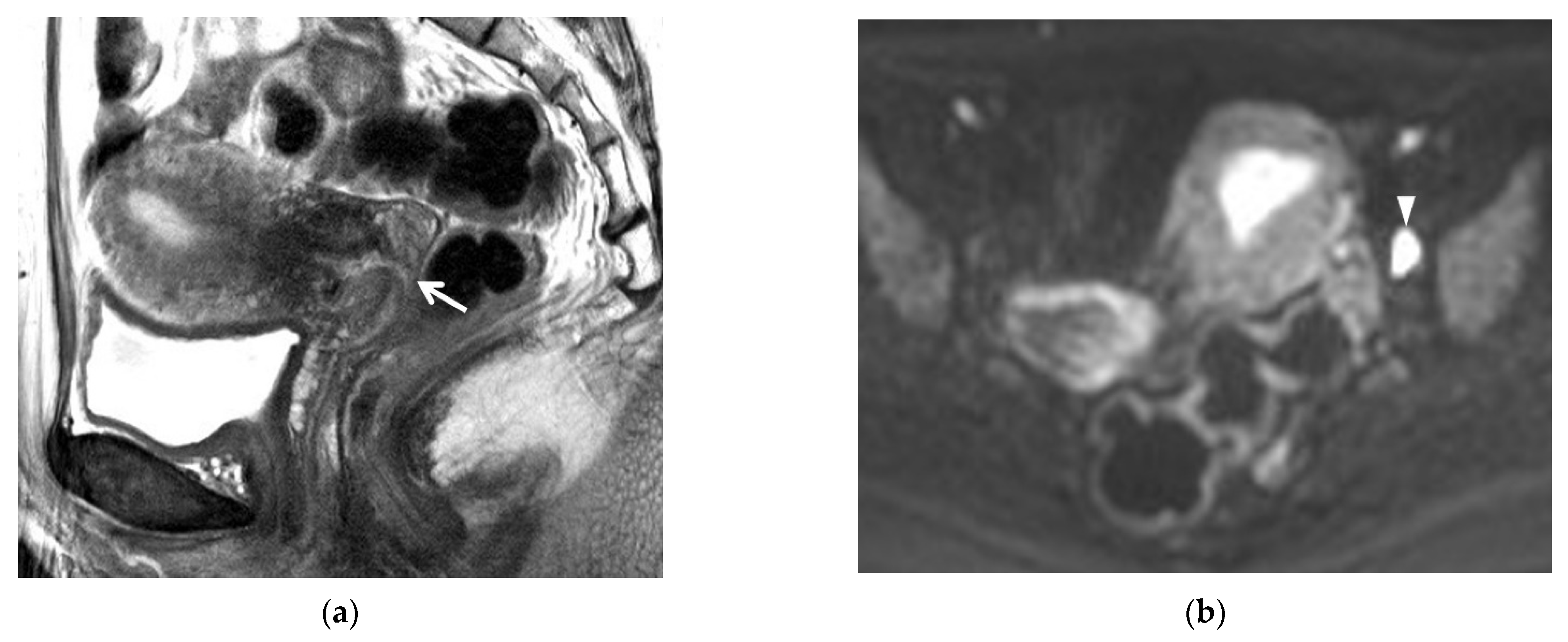 Cancers 13 04078 g001