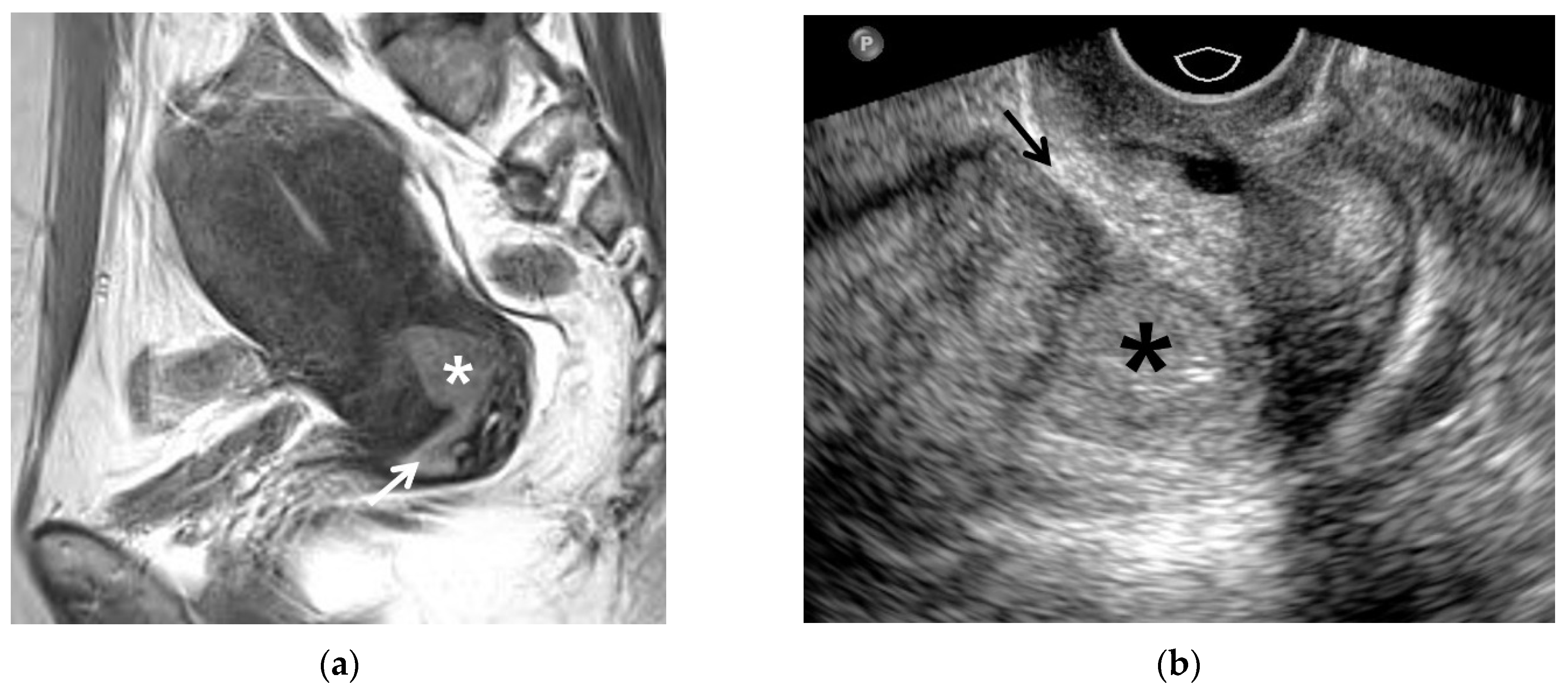 Cancers 13 04078 g004