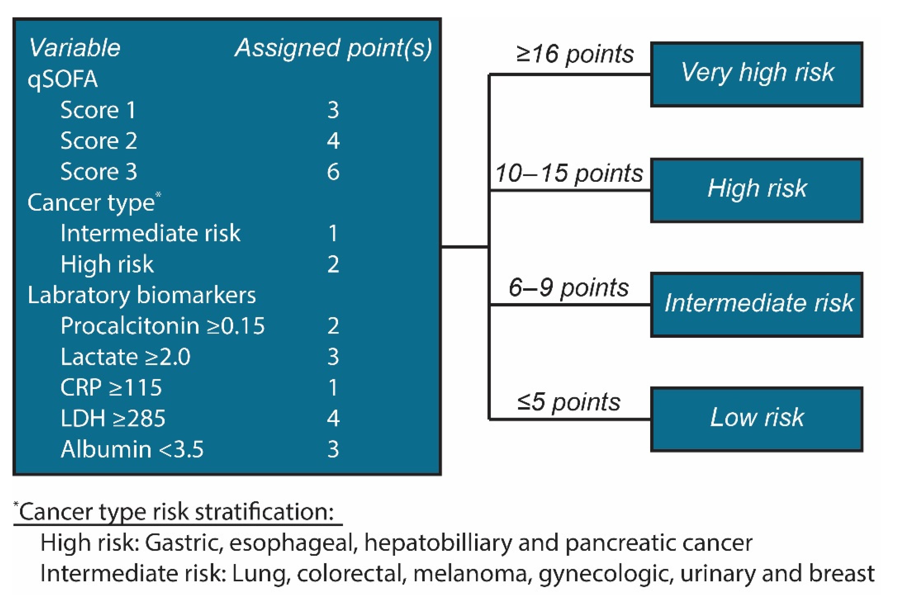 Cancers 13 04087 g004