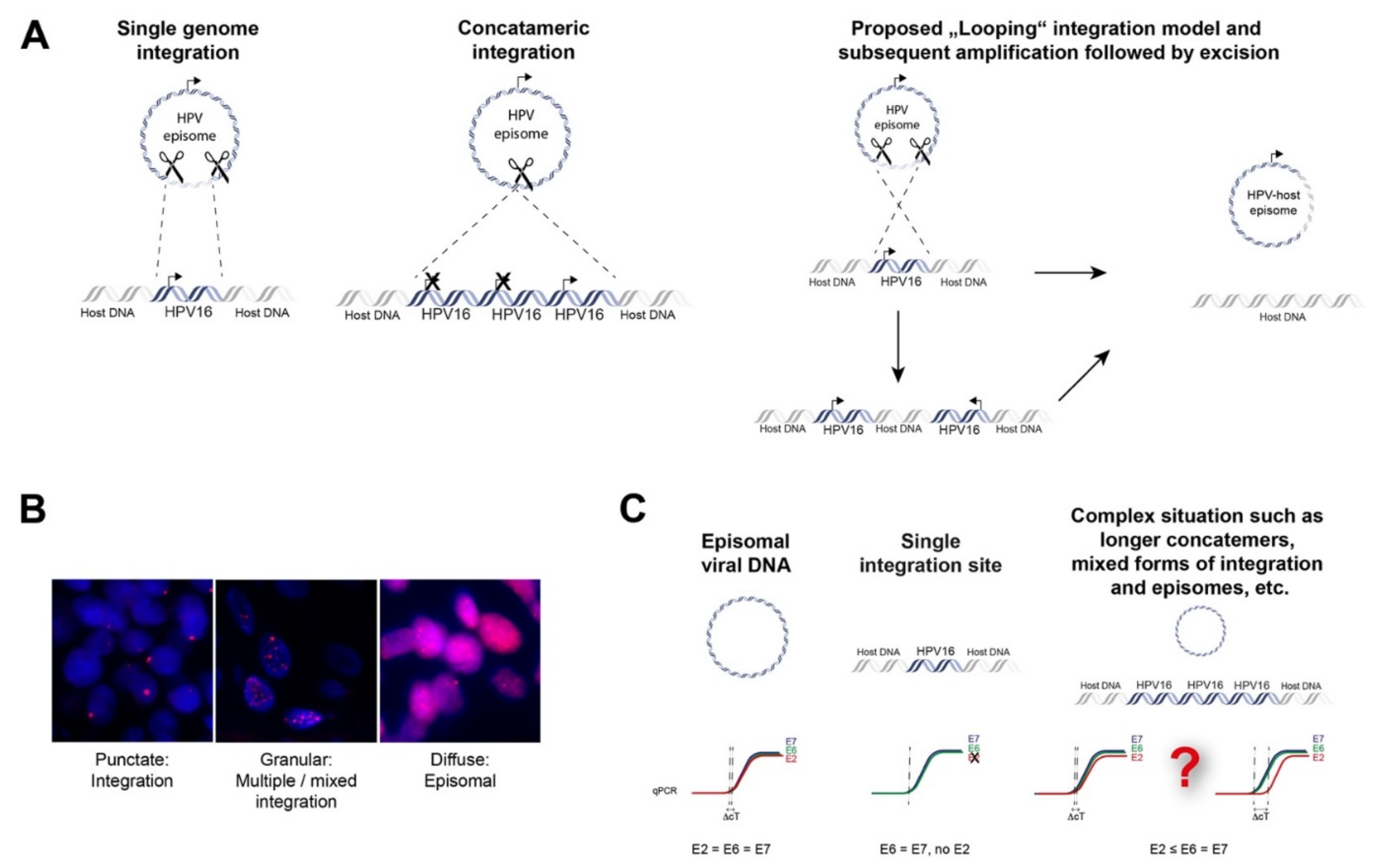 Cancers 13 04089 g002