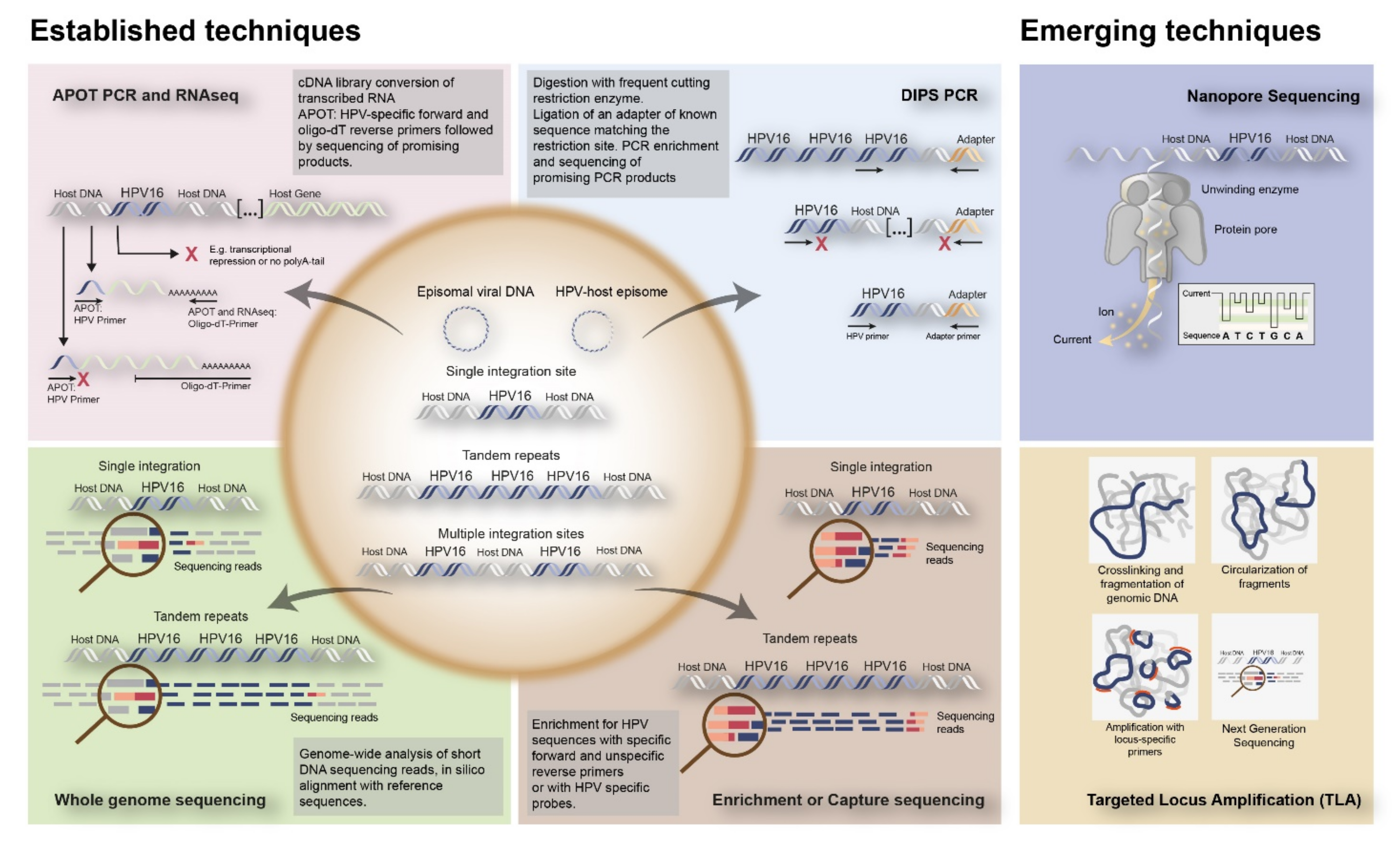 Cancers 13 04089 g003