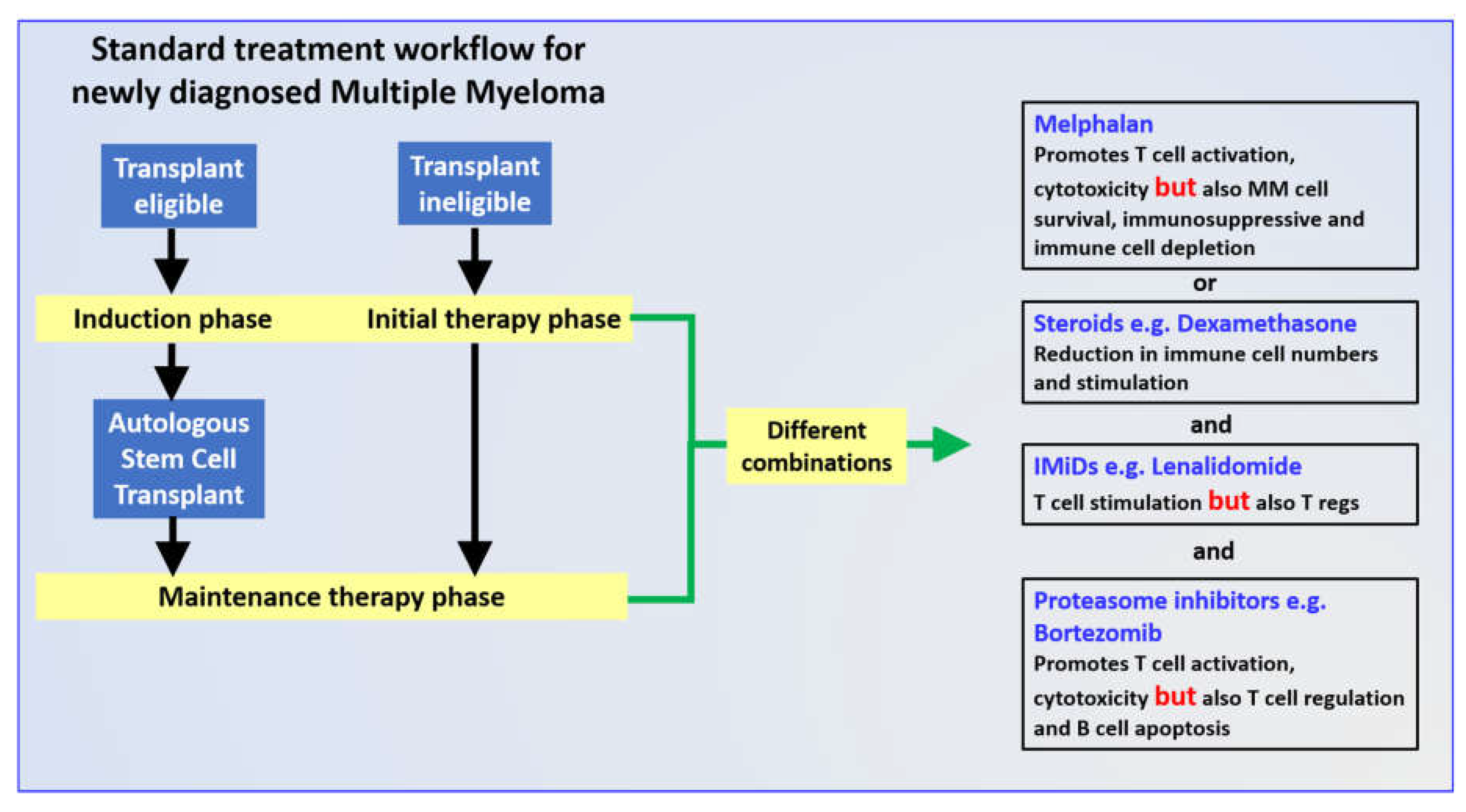 Cancers 13 04090 g002