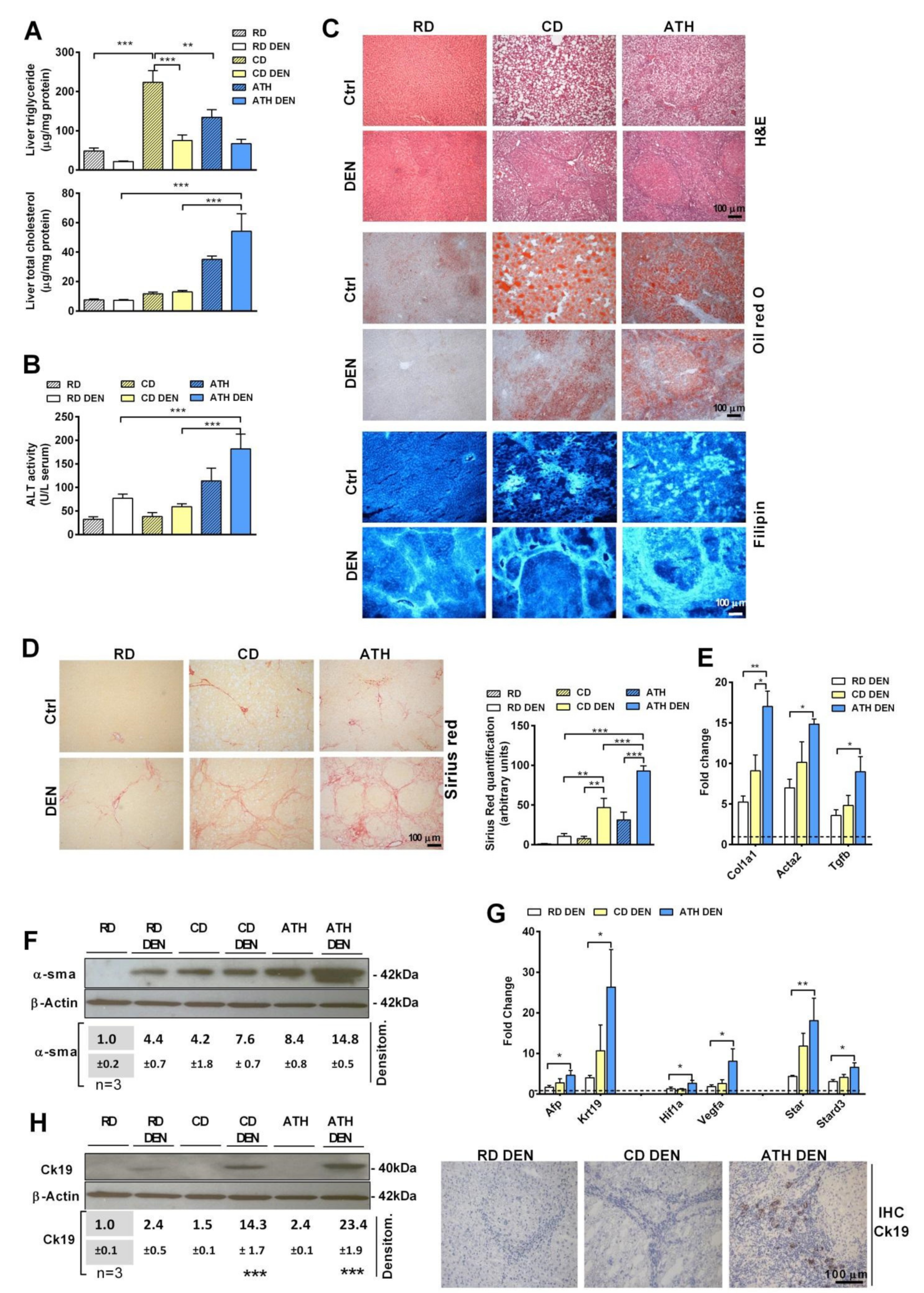 Cancers 13 04091 g001